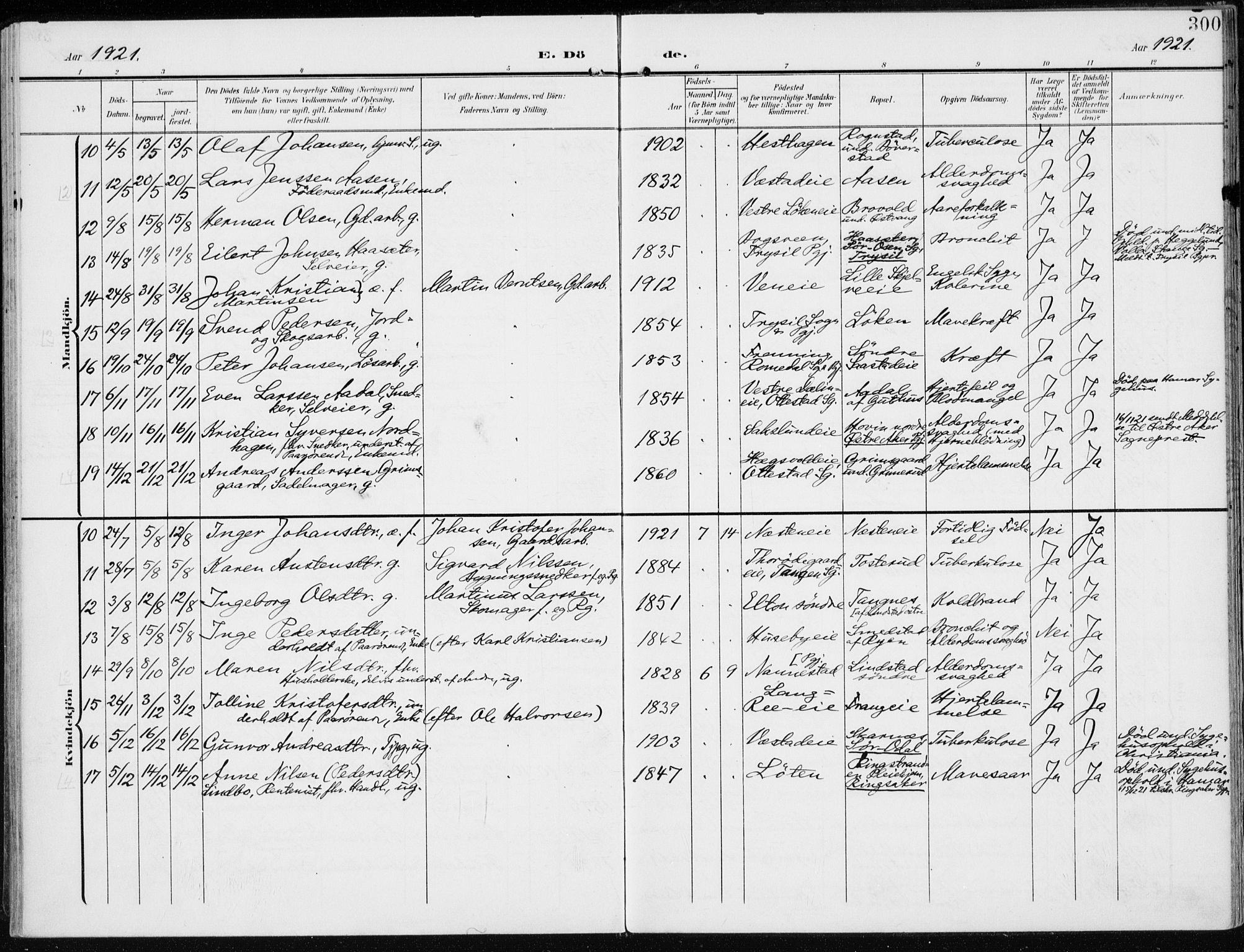 Stange prestekontor, AV/SAH-PREST-002/K/L0024: Parish register (official) no. 24, 1906-1922, p. 300