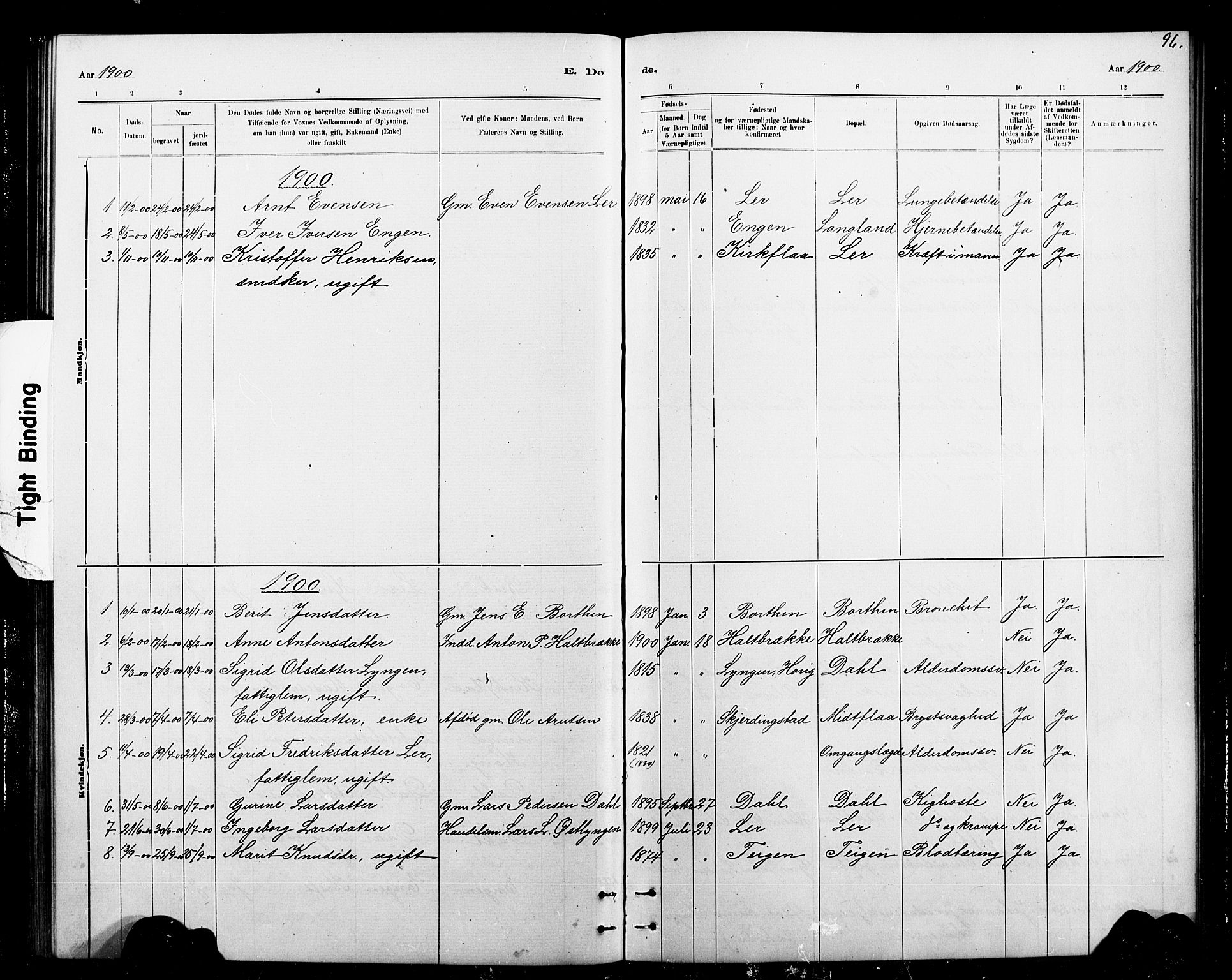 Ministerialprotokoller, klokkerbøker og fødselsregistre - Sør-Trøndelag, AV/SAT-A-1456/693/L1123: Parish register (copy) no. 693C04, 1887-1910, p. 96