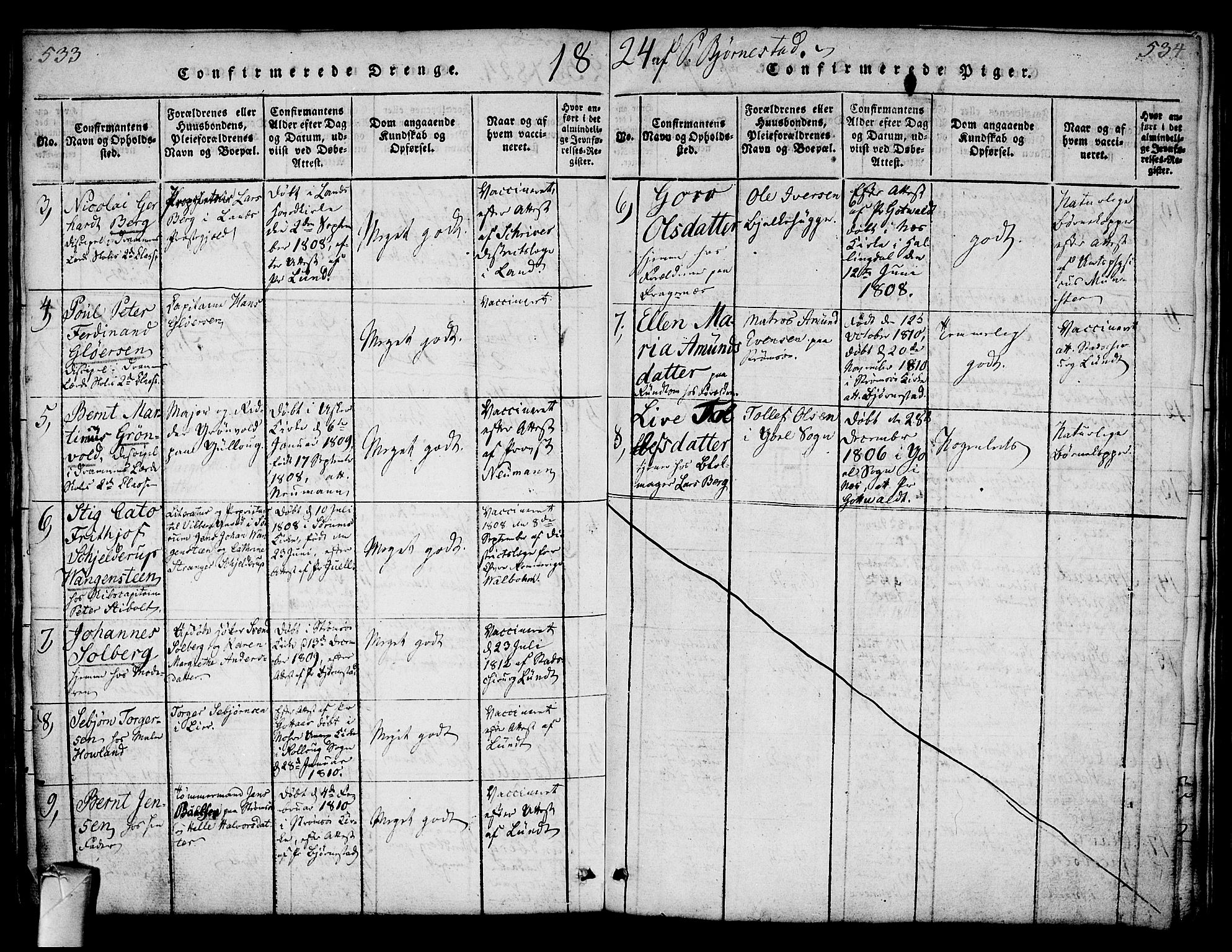 Strømsø kirkebøker, AV/SAKO-A-246/F/Fa/L0011: Parish register (official) no. I 11, 1815-1829, p. 533-534