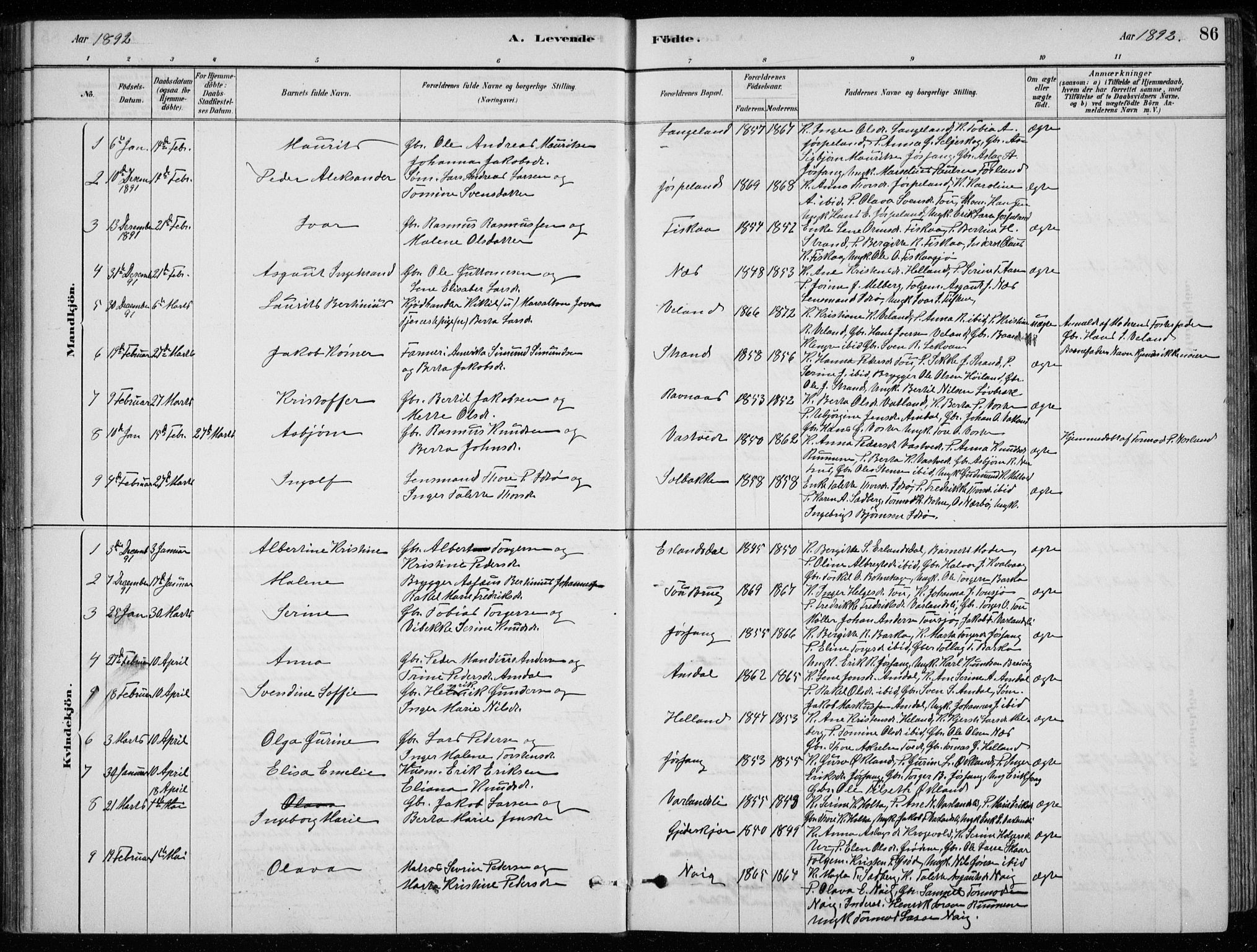Strand sokneprestkontor, SAST/A-101828/H/Ha/Hab/L0004: Parish register (copy) no. B 4, 1878-1903, p. 86