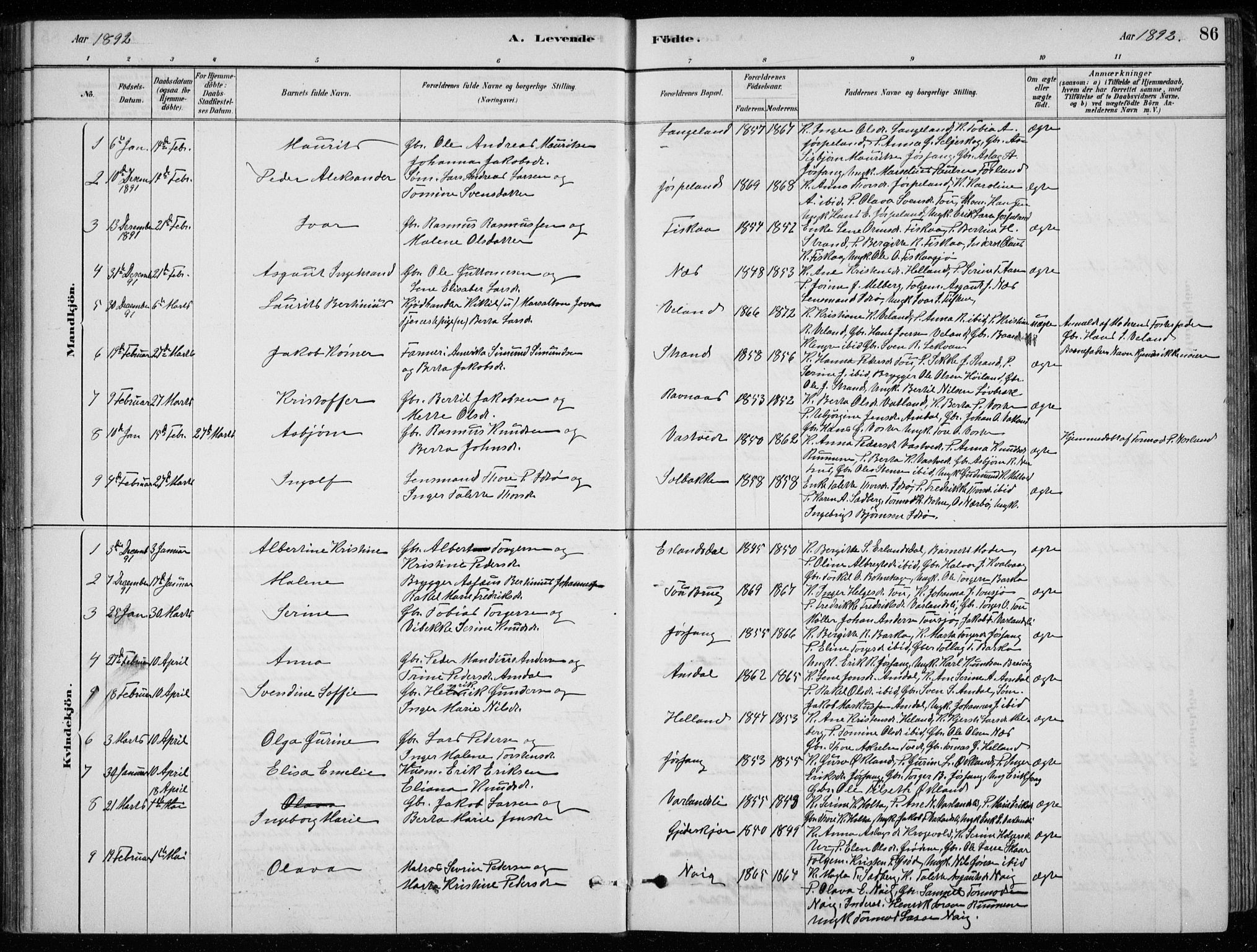 Strand sokneprestkontor, AV/SAST-A-101828/H/Ha/Hab/L0004: Parish register (copy) no. B 4, 1878-1903, p. 86