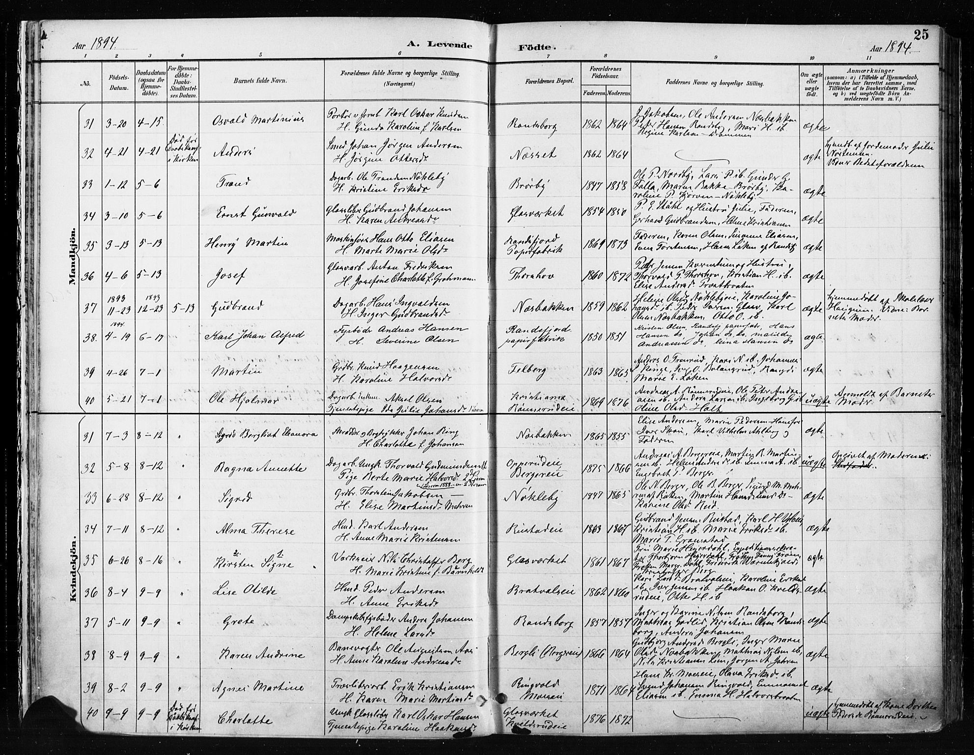 Jevnaker prestekontor, AV/SAH-PREST-116/H/Ha/Haa/L0009: Parish register (official) no. 9, 1891-1901, p. 25