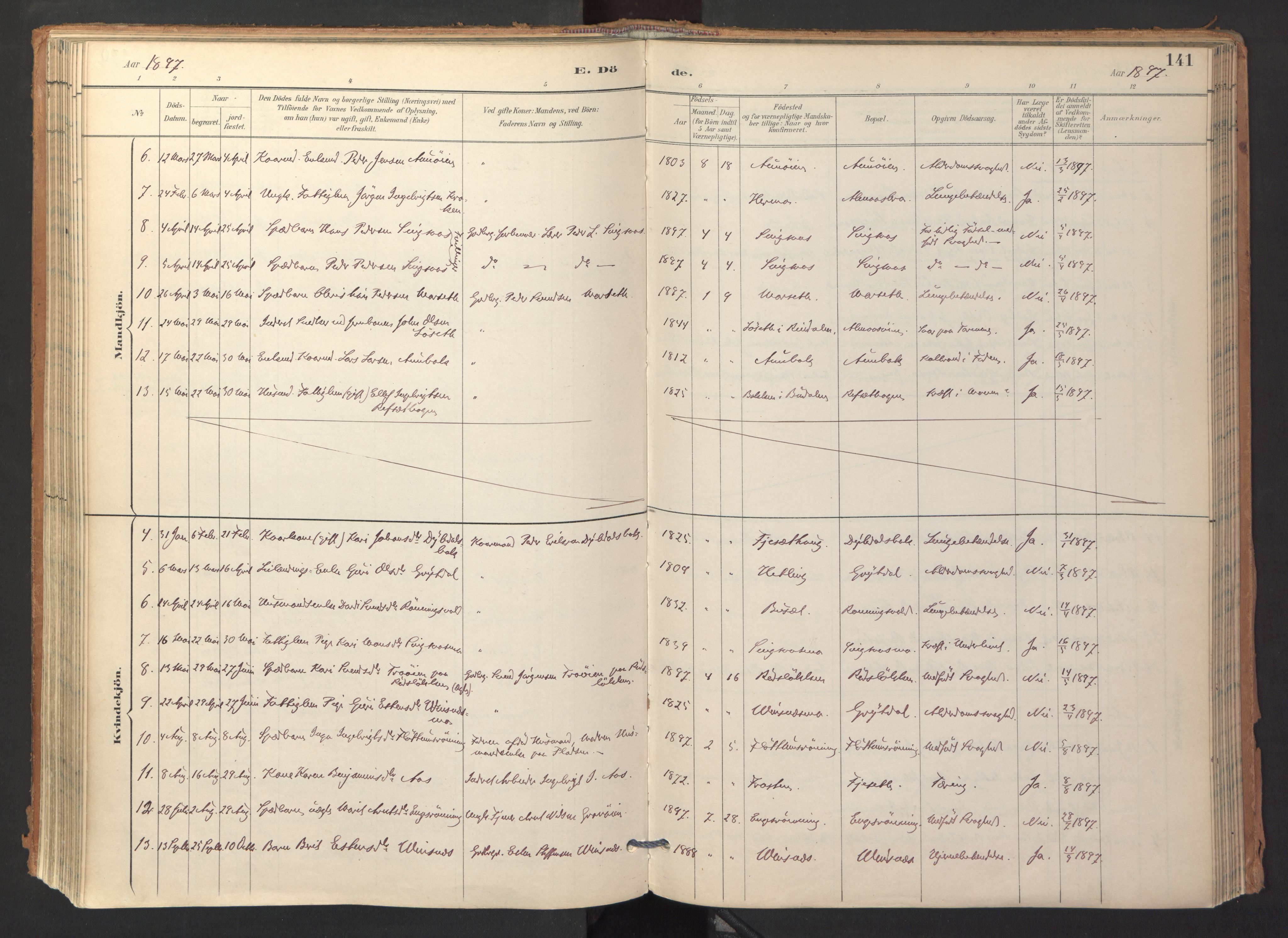 Ministerialprotokoller, klokkerbøker og fødselsregistre - Sør-Trøndelag, AV/SAT-A-1456/688/L1025: Parish register (official) no. 688A02, 1891-1909, p. 141