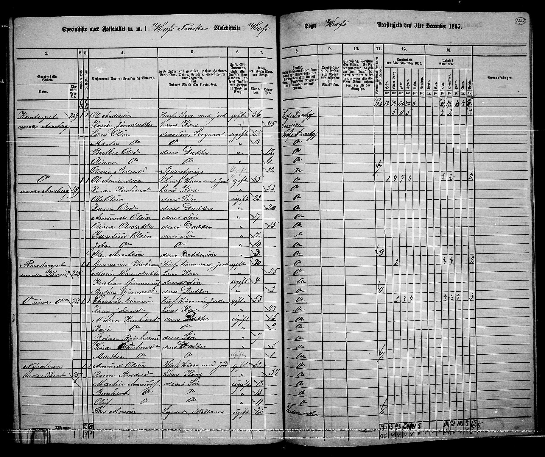 RA, 1865 census for Hof, 1865, p. 134