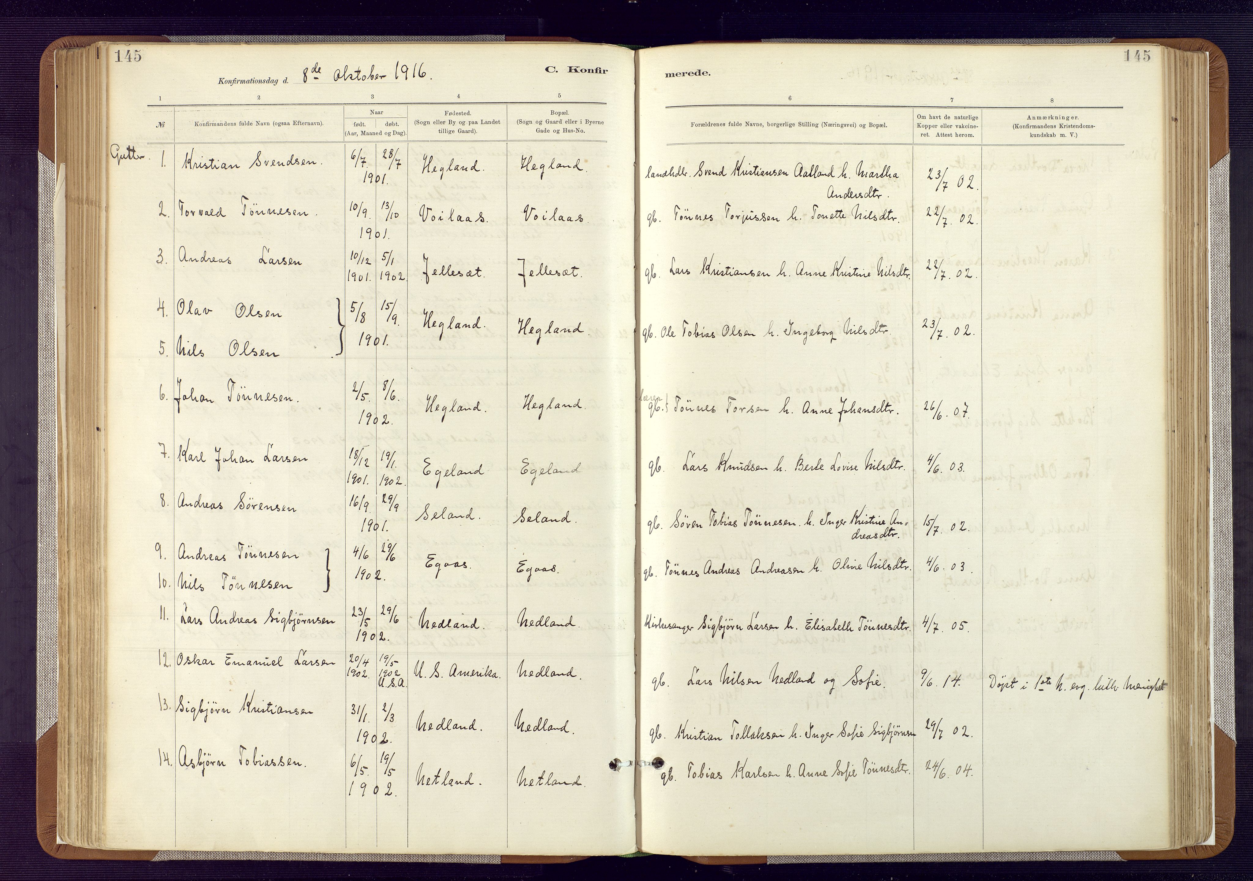 Bakke sokneprestkontor, SAK/1111-0002/F/Fa/Fab/L0003: Parish register (official) no. A 3, 1884-1921, p. 145