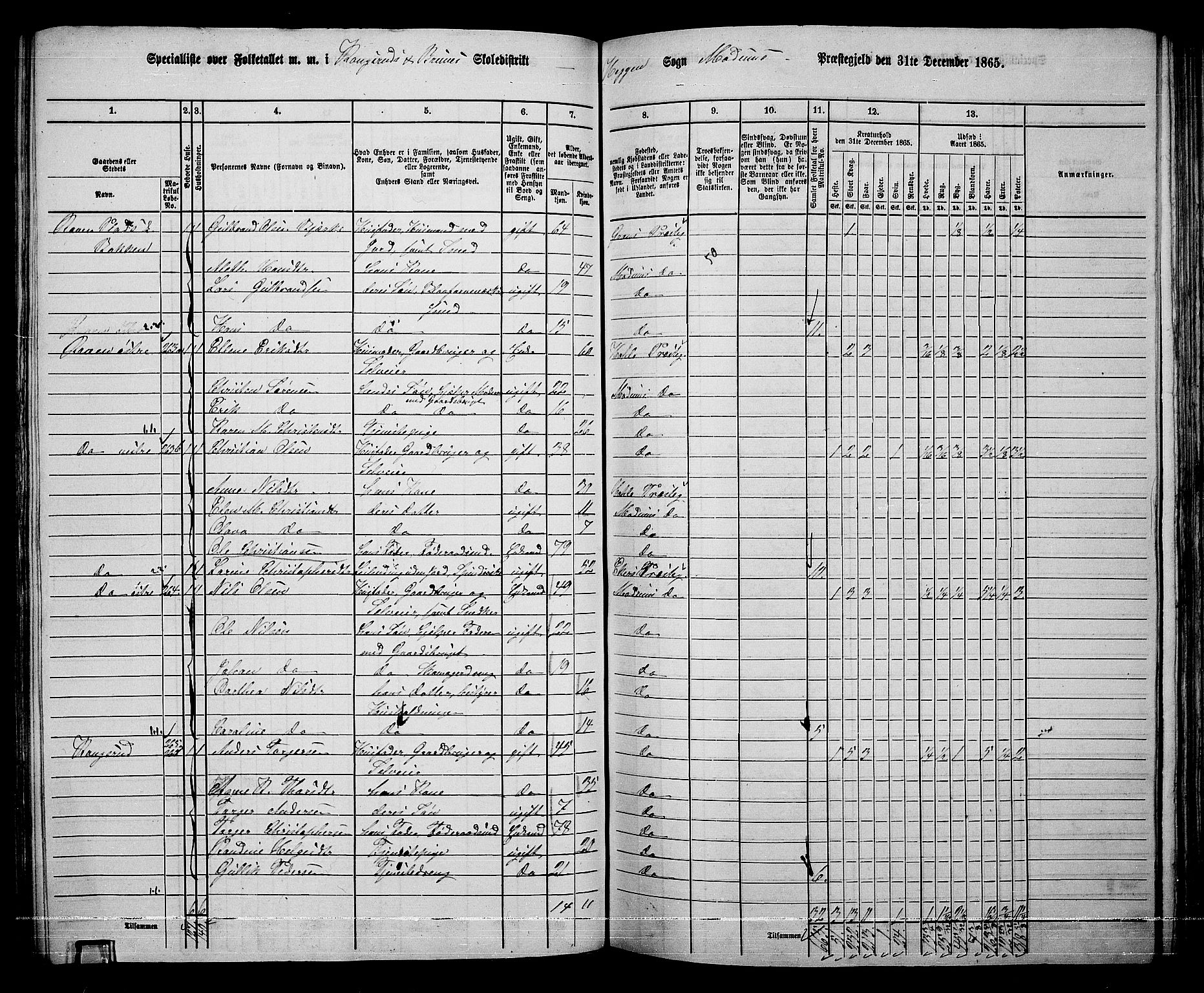 RA, 1865 census for Modum, 1865, p. 160