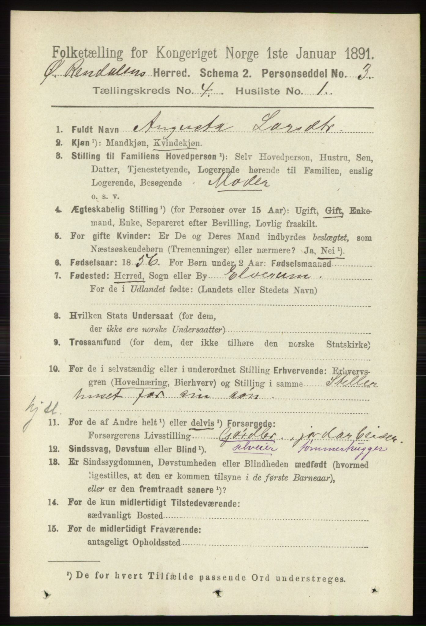 RA, 1891 census for 0433 Øvre Rendal, 1891, p. 979