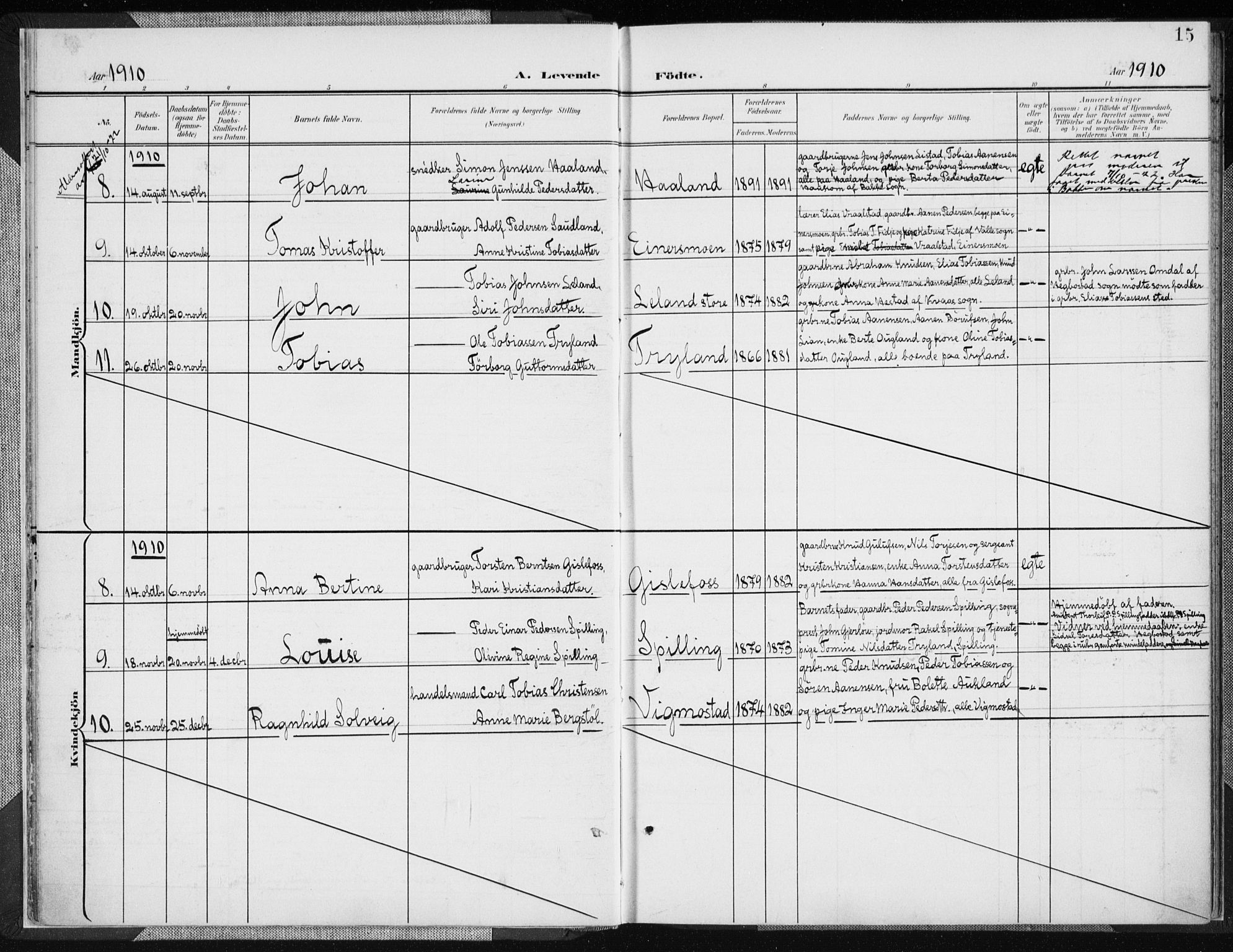 Nord-Audnedal sokneprestkontor, SAK/1111-0032/F/Fa/Fab/L0004: Parish register (official) no. A 4, 1901-1917, p. 15