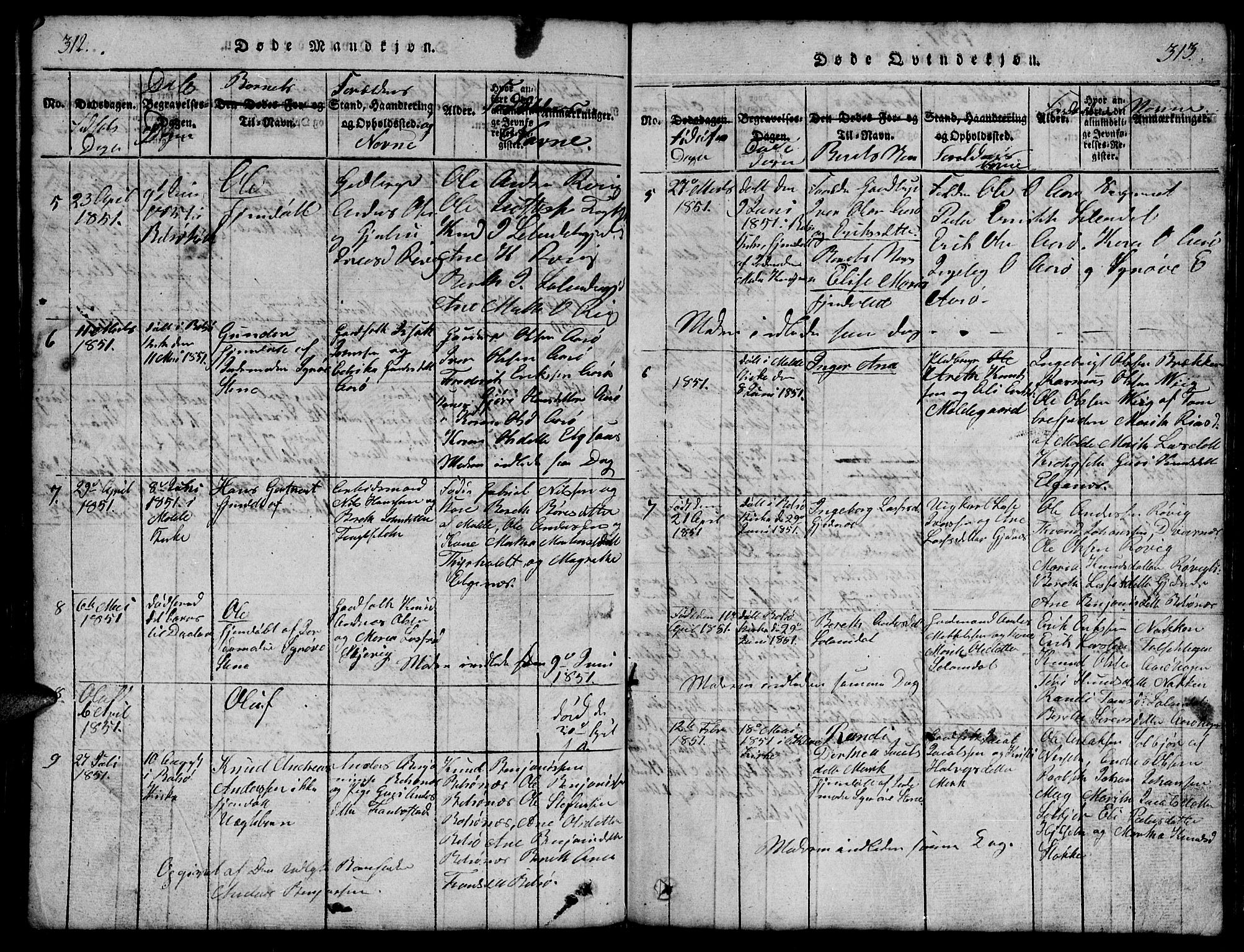 Ministerialprotokoller, klokkerbøker og fødselsregistre - Møre og Romsdal, AV/SAT-A-1454/555/L0665: Parish register (copy) no. 555C01, 1818-1868, p. 312-313