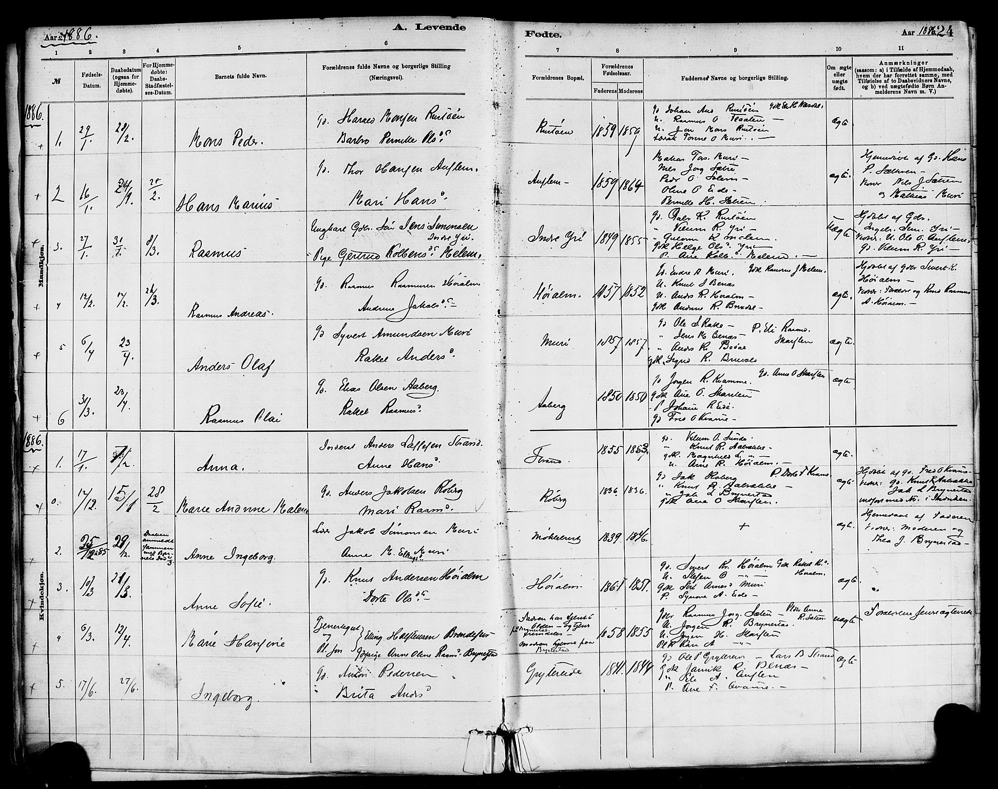 Innvik sokneprestembete, AV/SAB-A-80501: Parish register (official) no. C 1, 1879-1900, p. 24