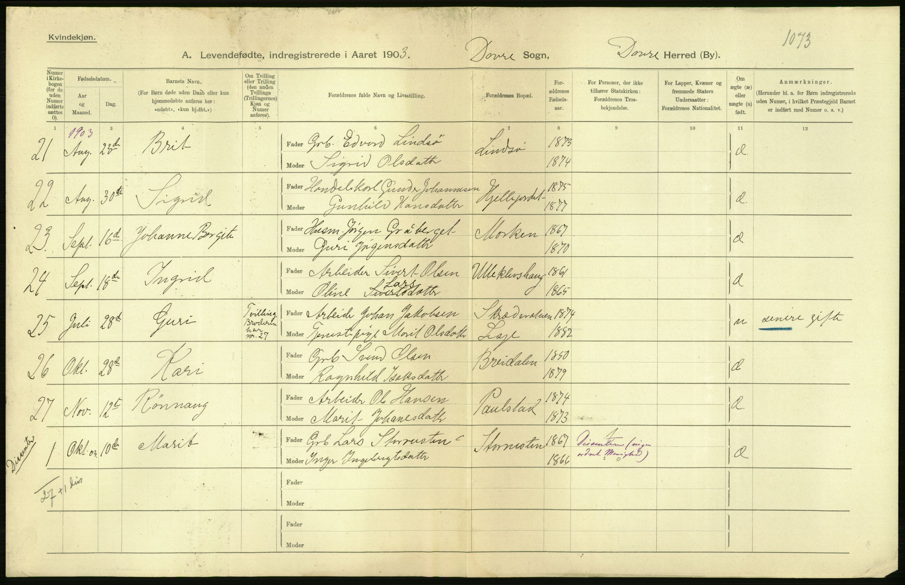 Statistisk sentralbyrå, Sosiodemografiske emner, Befolkning, AV/RA-S-2228/D/Df/Dfa/Dfaa/L0006: Kristians amt: Fødte, gifte, døde, 1903, p. 8