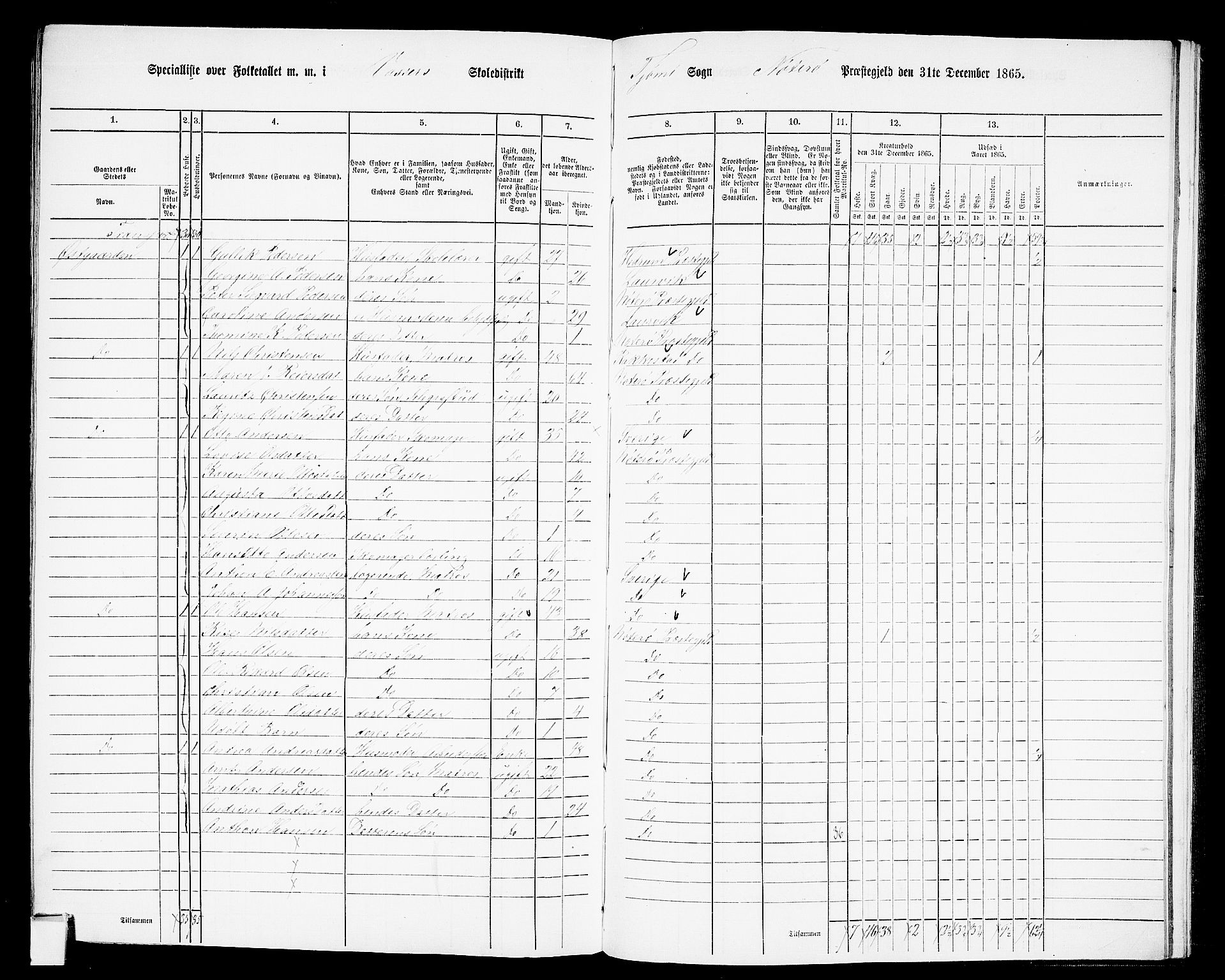 RA, 1865 census for Nøtterøy, 1865, p. 294