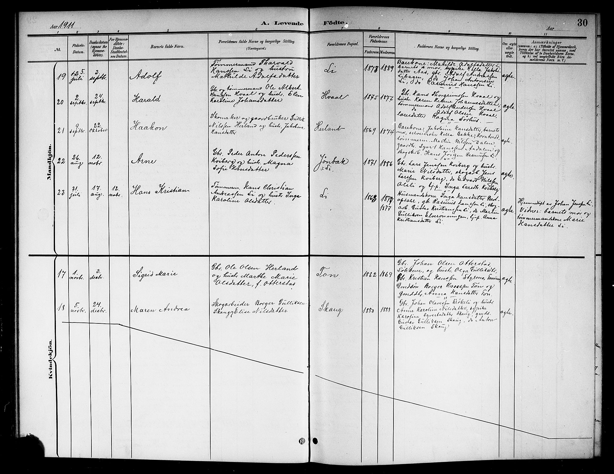 Lardal kirkebøker, AV/SAKO-A-350/G/Ga/L0002: Parish register (copy) no. I 2, 1901-1916, p. 30
