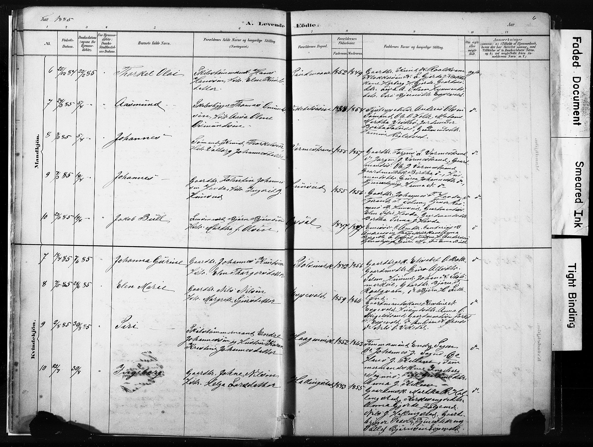 Vikedal sokneprestkontor, AV/SAST-A-101840/01/IV: Parish register (official) no. A 10, 1884-1907, p. 6