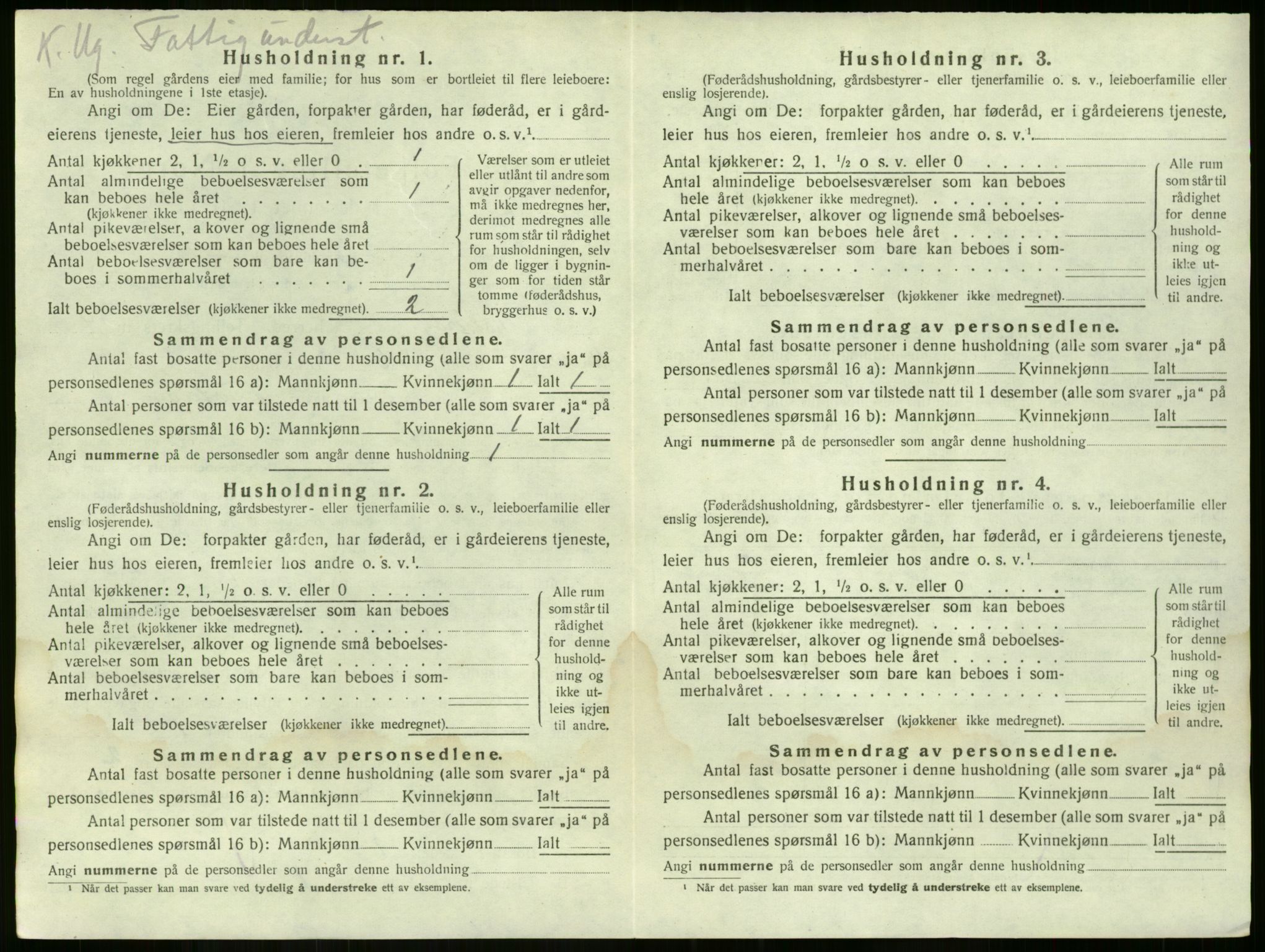 SAKO, 1920 census for Nøtterøy, 1920, p. 1971