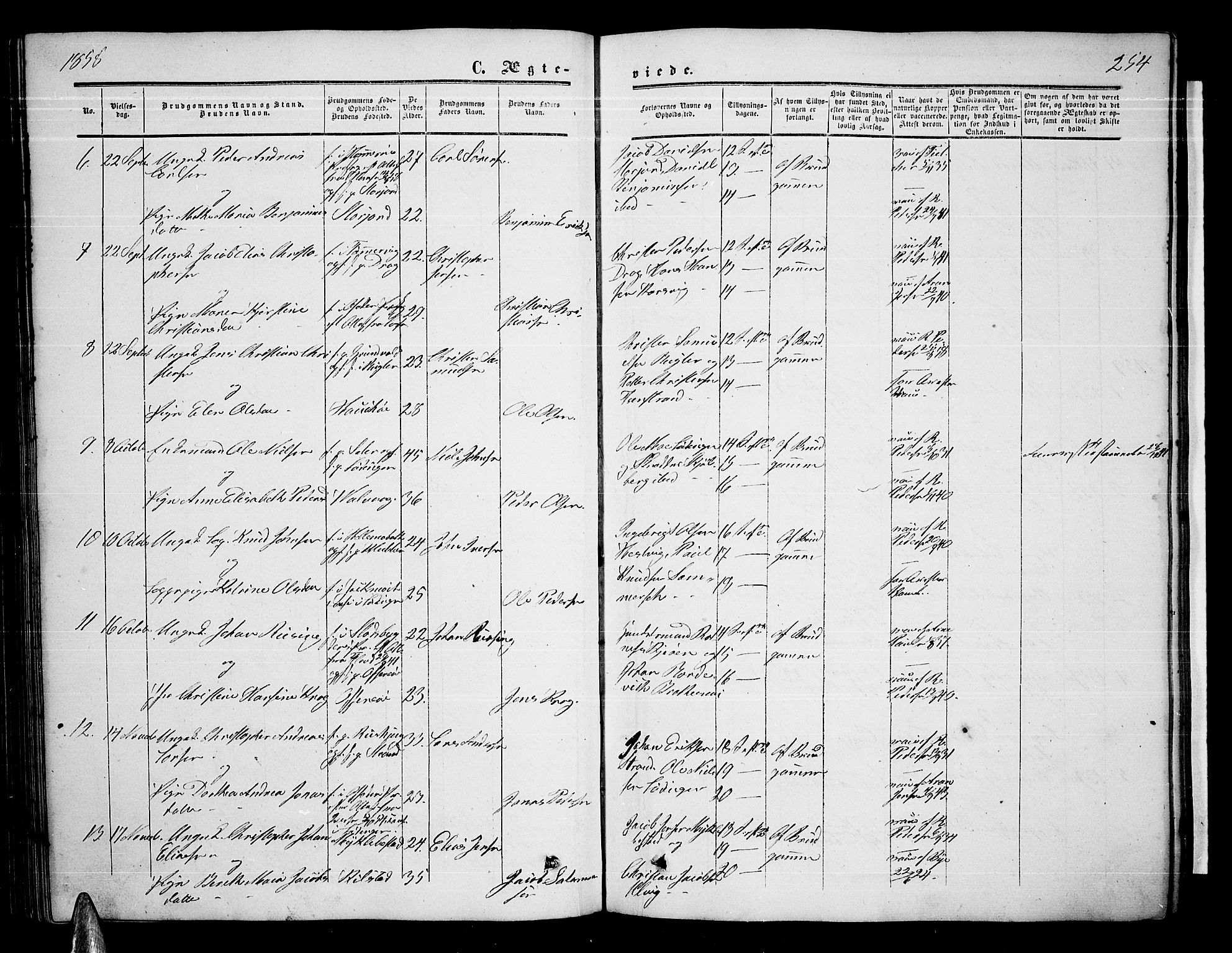 Ministerialprotokoller, klokkerbøker og fødselsregistre - Nordland, AV/SAT-A-1459/872/L1046: Parish register (copy) no. 872C02, 1852-1879, p. 254