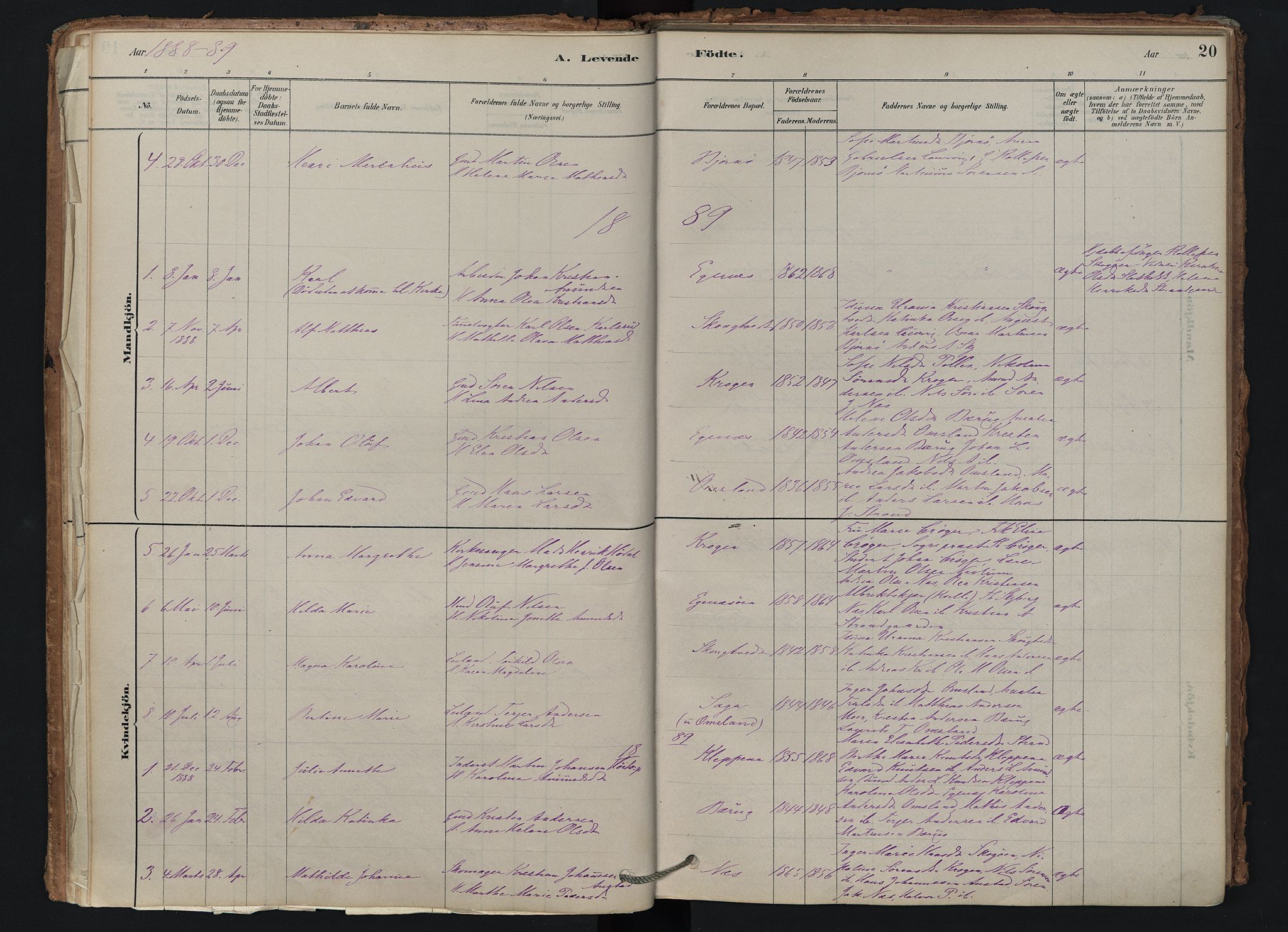 Brunlanes kirkebøker, AV/SAKO-A-342/F/Fd/L0001: Parish register (official) no. IV 1, 1878-1917, p. 20