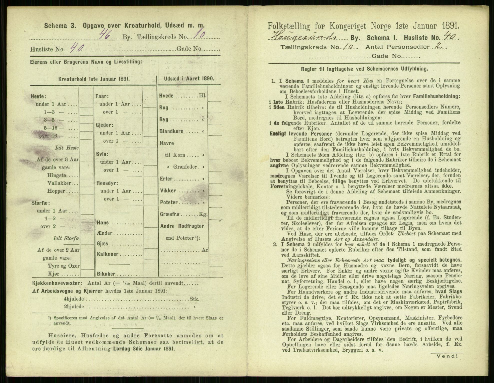 RA, 1891 census for 1106 Haugesund, 1891, p. 762