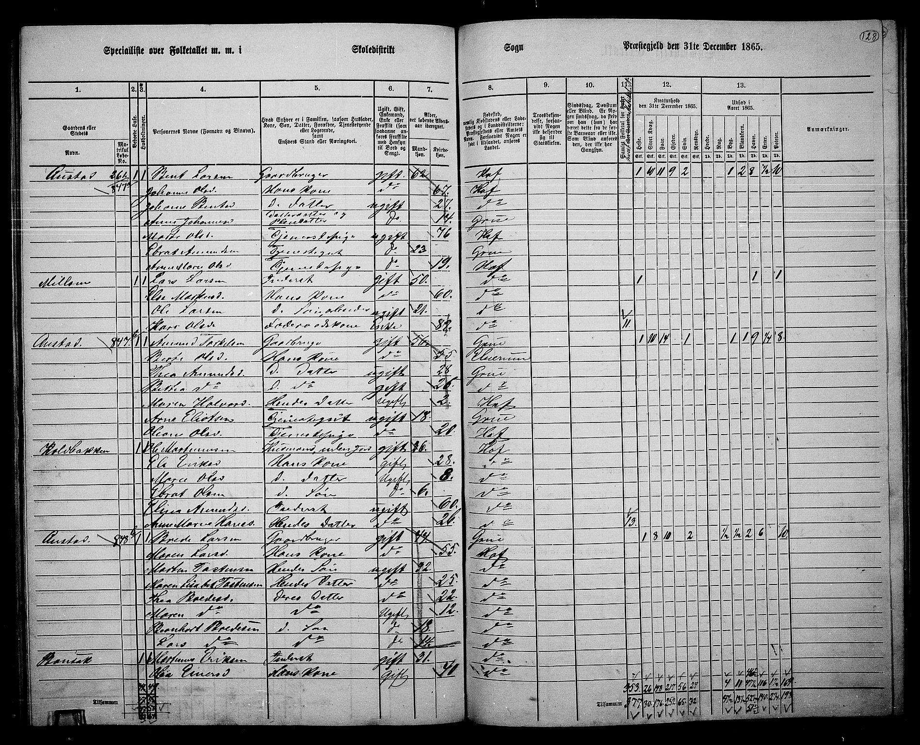 RA, 1865 census for Hof, 1865, p. 120