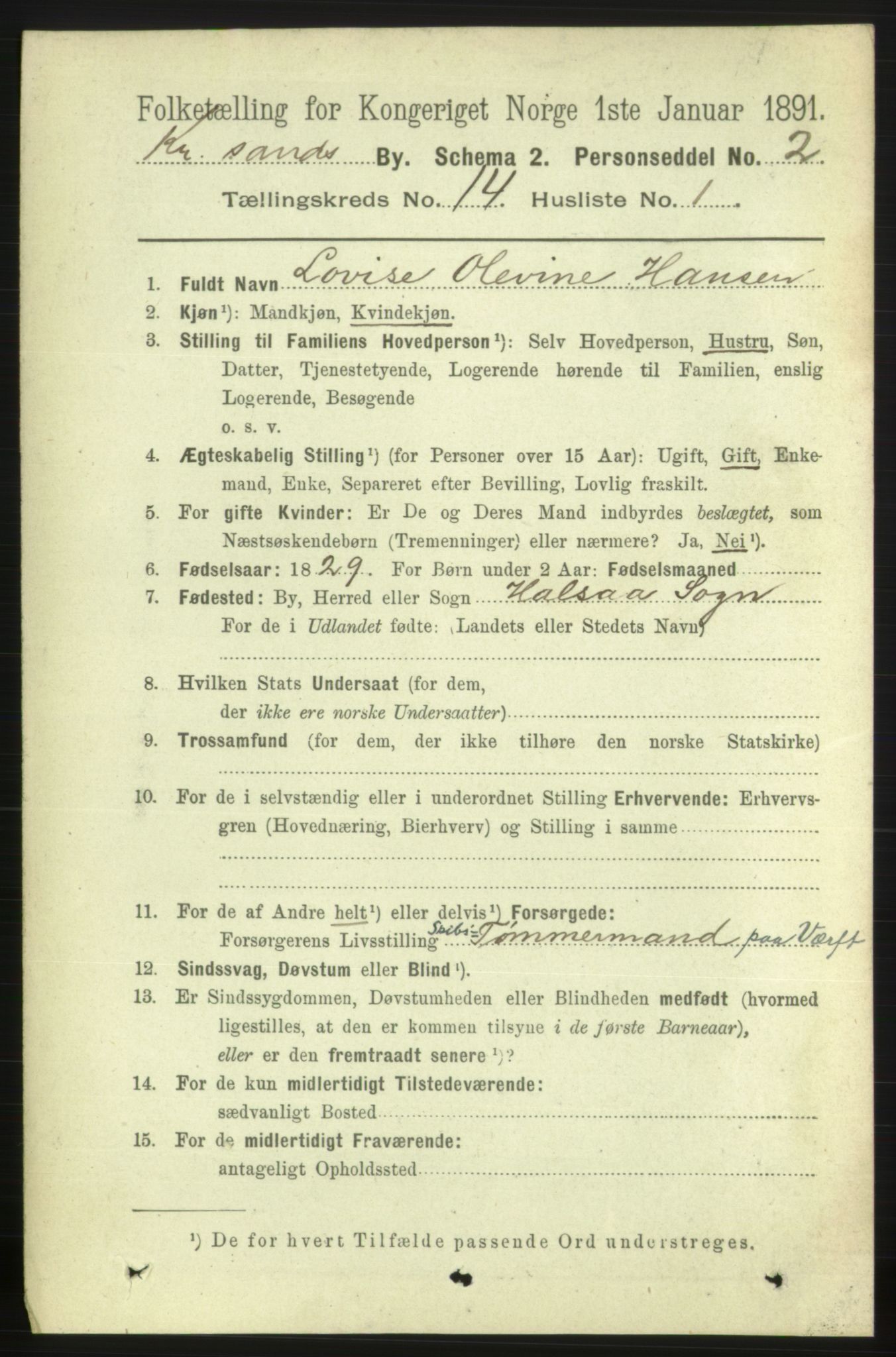 RA, 1891 census for 1001 Kristiansand, 1891, p. 6169