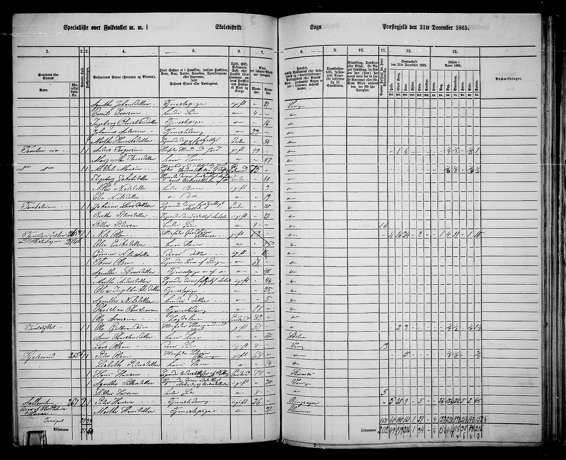 RA, 1865 census for Vang/Vang og Furnes, 1865, p. 276