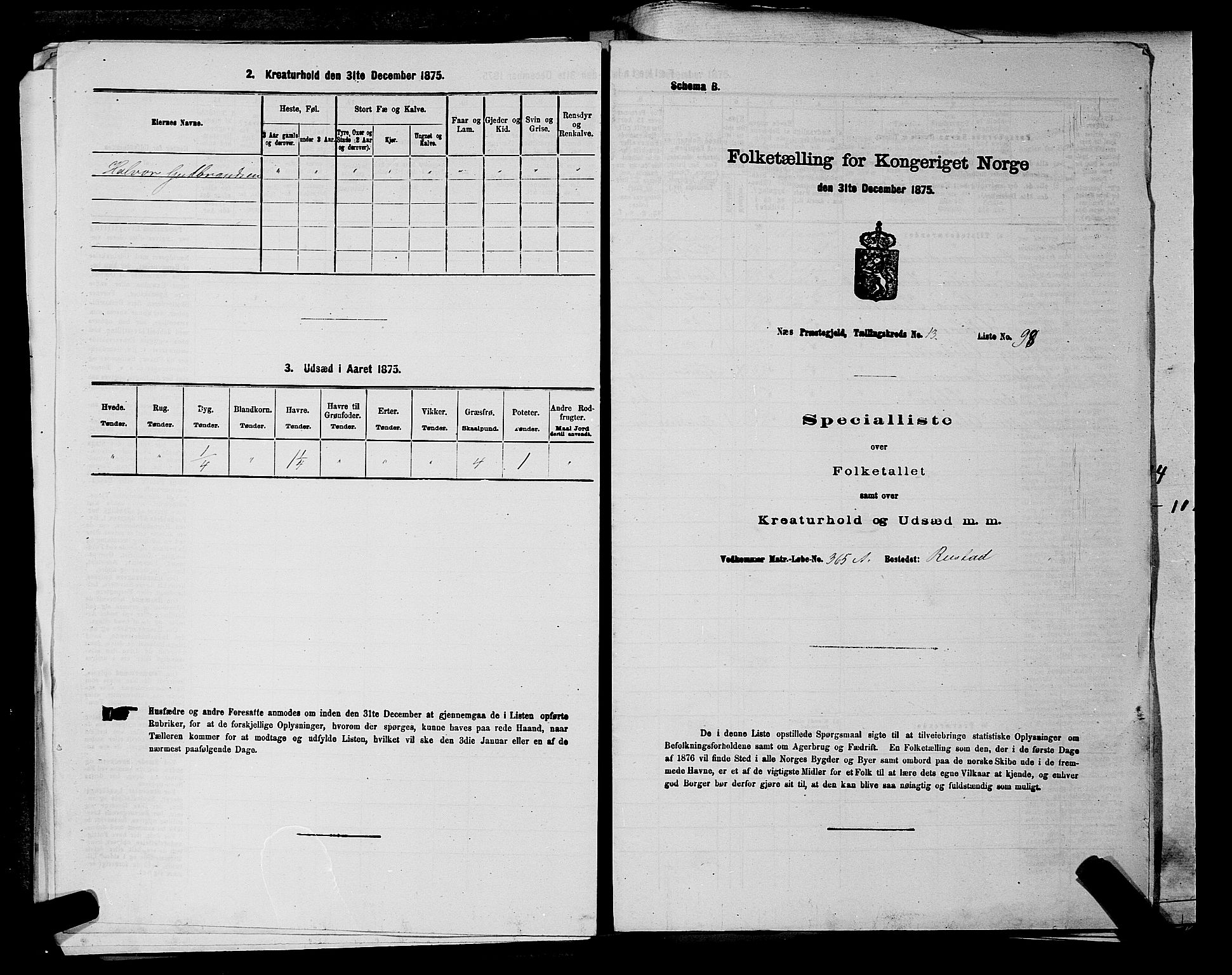 RA, 1875 census for 0236P Nes, 1875, p. 2480