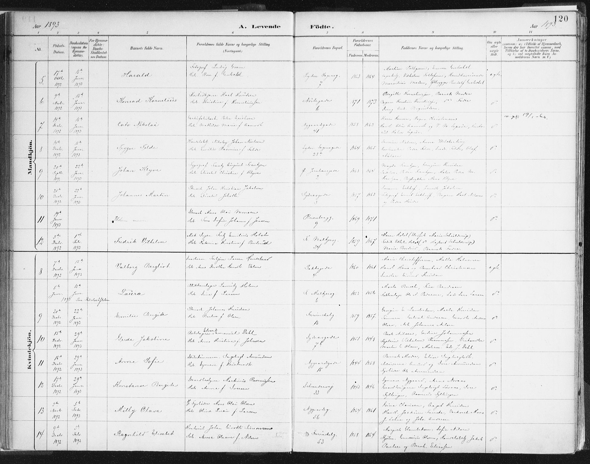 Johanneskirken sokneprestembete, SAB/A-76001/H/Haa/L0001: Parish register (official) no. A 1, 1885-1900, p. 120