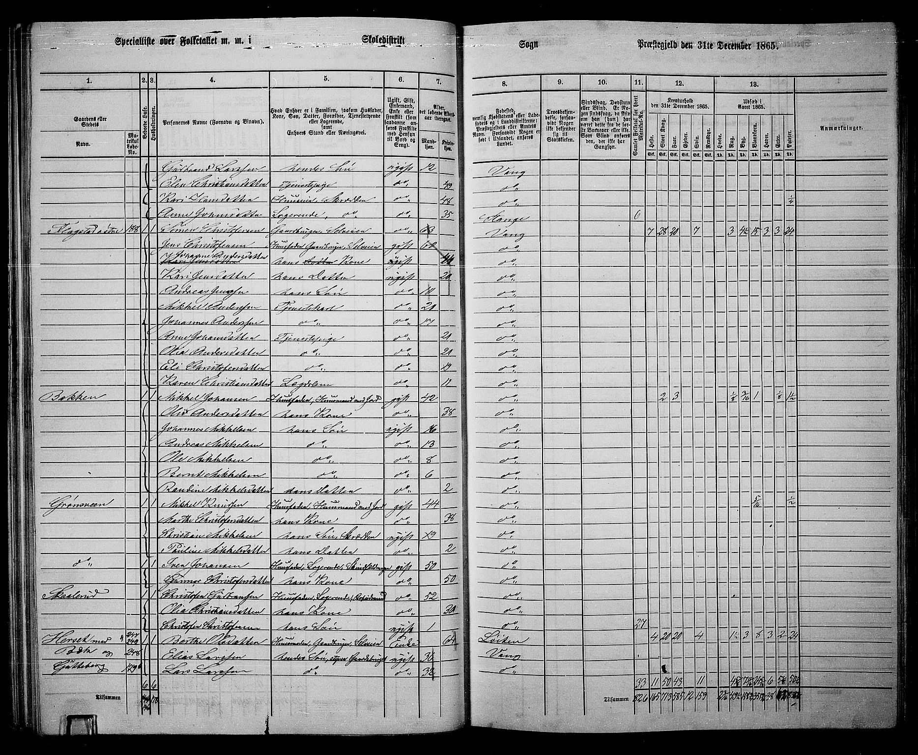 RA, 1865 census for Vang/Vang og Furnes, 1865, p. 205