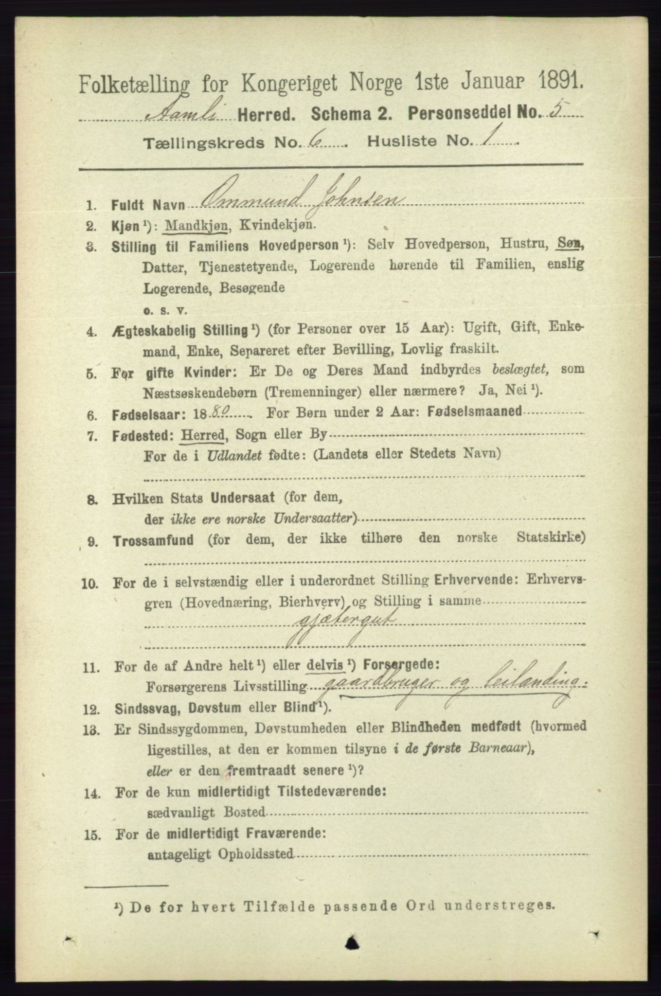 RA, 1891 census for 0929 Åmli, 1891, p. 872