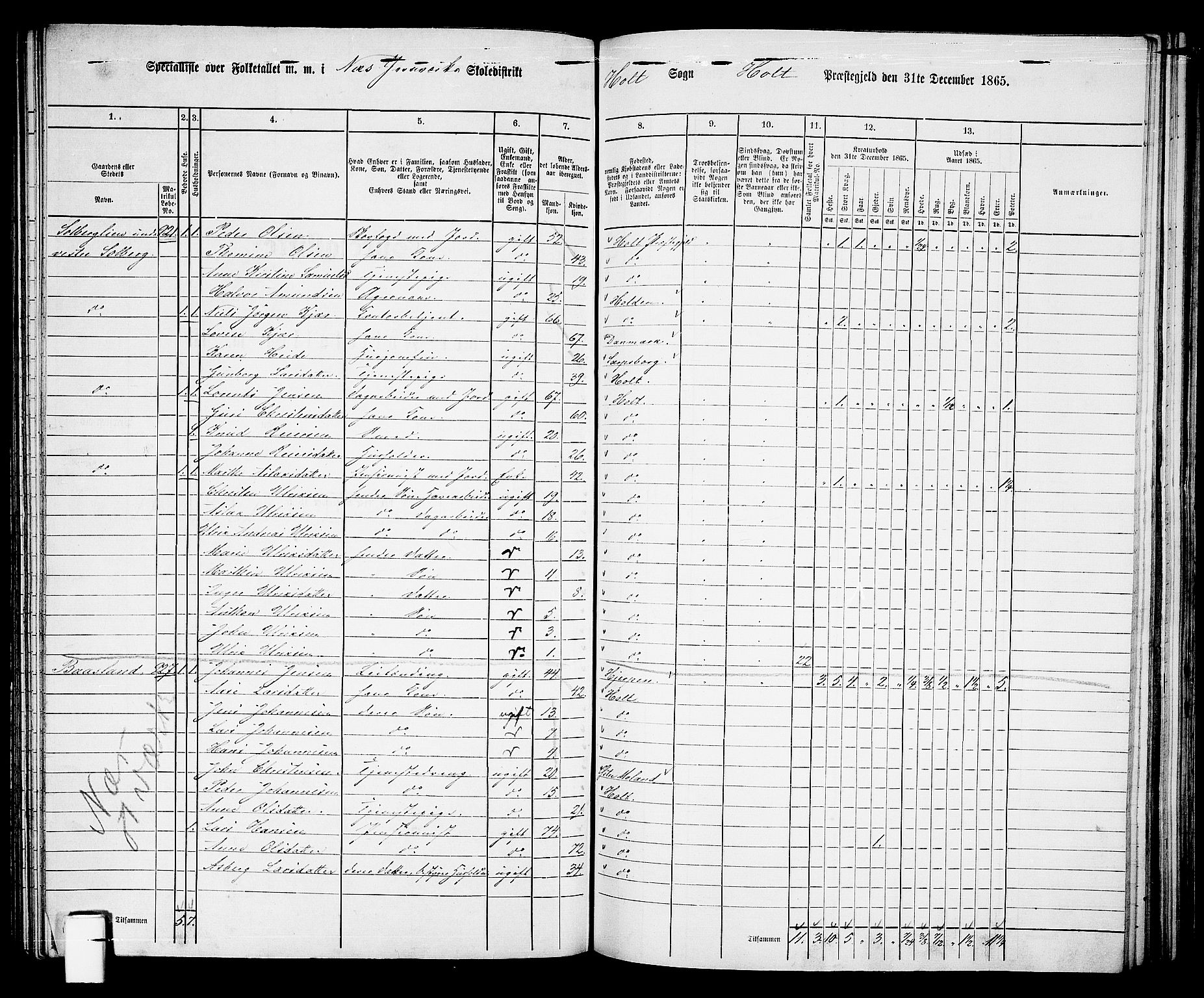 RA, 1865 census for Holt/Holt, 1865, p. 107