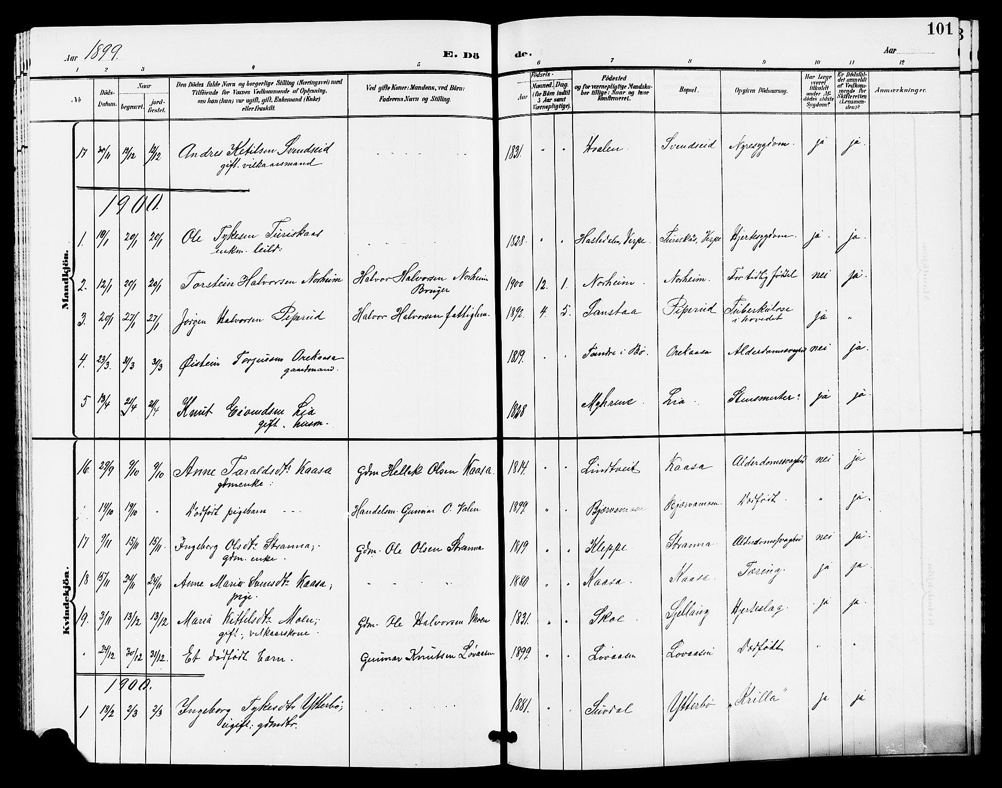 Lunde kirkebøker, SAKO/A-282/G/Ga/L0003: Parish register (copy) no. I 3, 1896-1905, p. 101