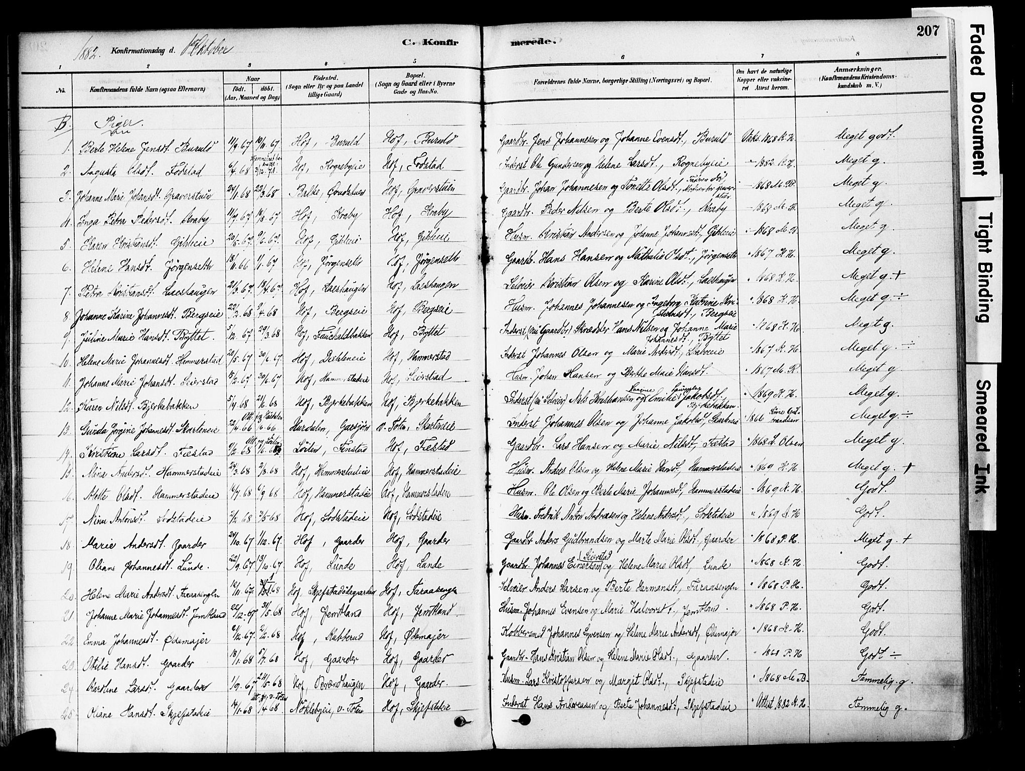 Østre Toten prestekontor, AV/SAH-PREST-104/H/Ha/Haa/L0006: Parish register (official) no. 6 /1, 1878-1896, p. 207