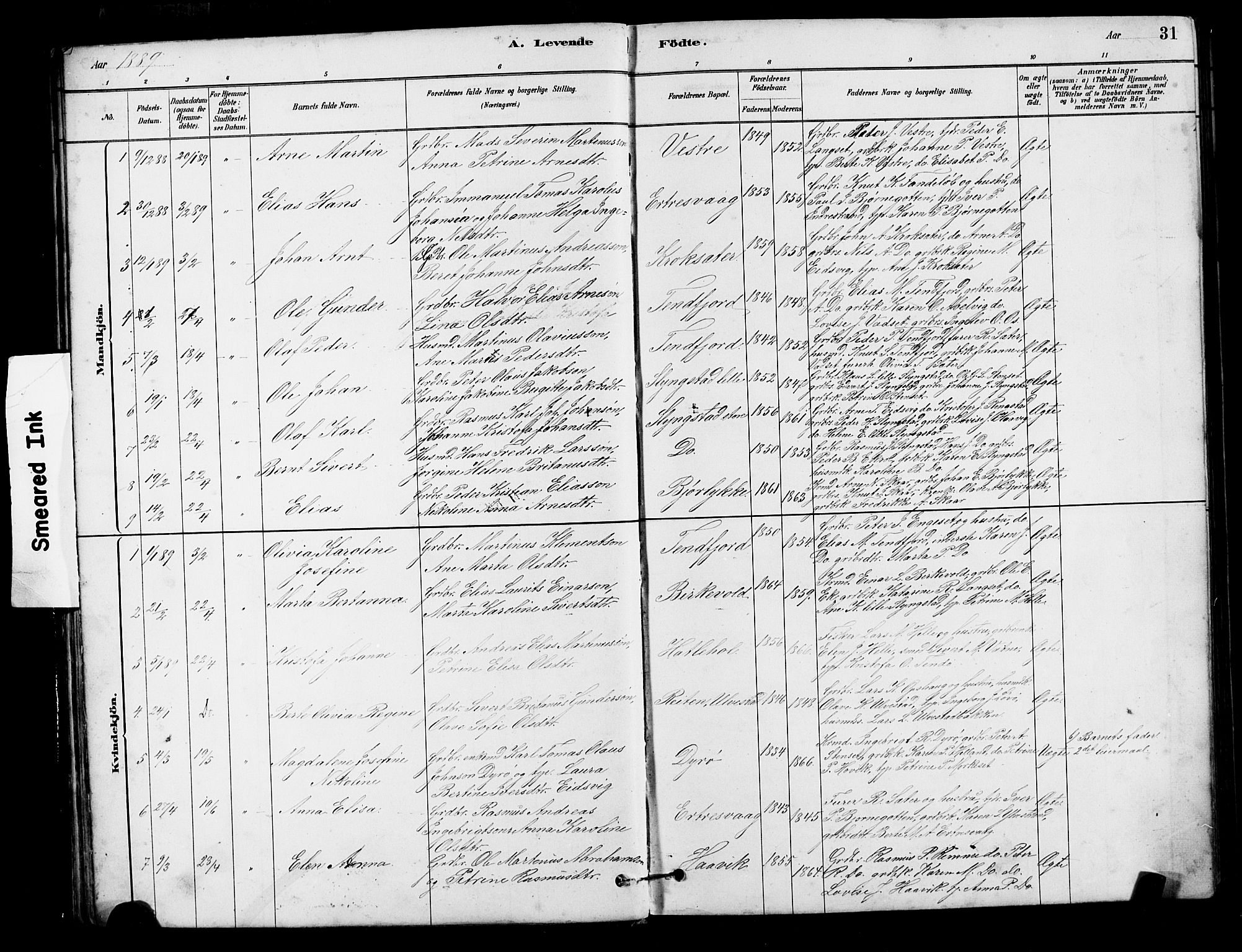 Ministerialprotokoller, klokkerbøker og fødselsregistre - Møre og Romsdal, AV/SAT-A-1454/525/L0376: Parish register (copy) no. 525C02, 1880-1902, p. 31