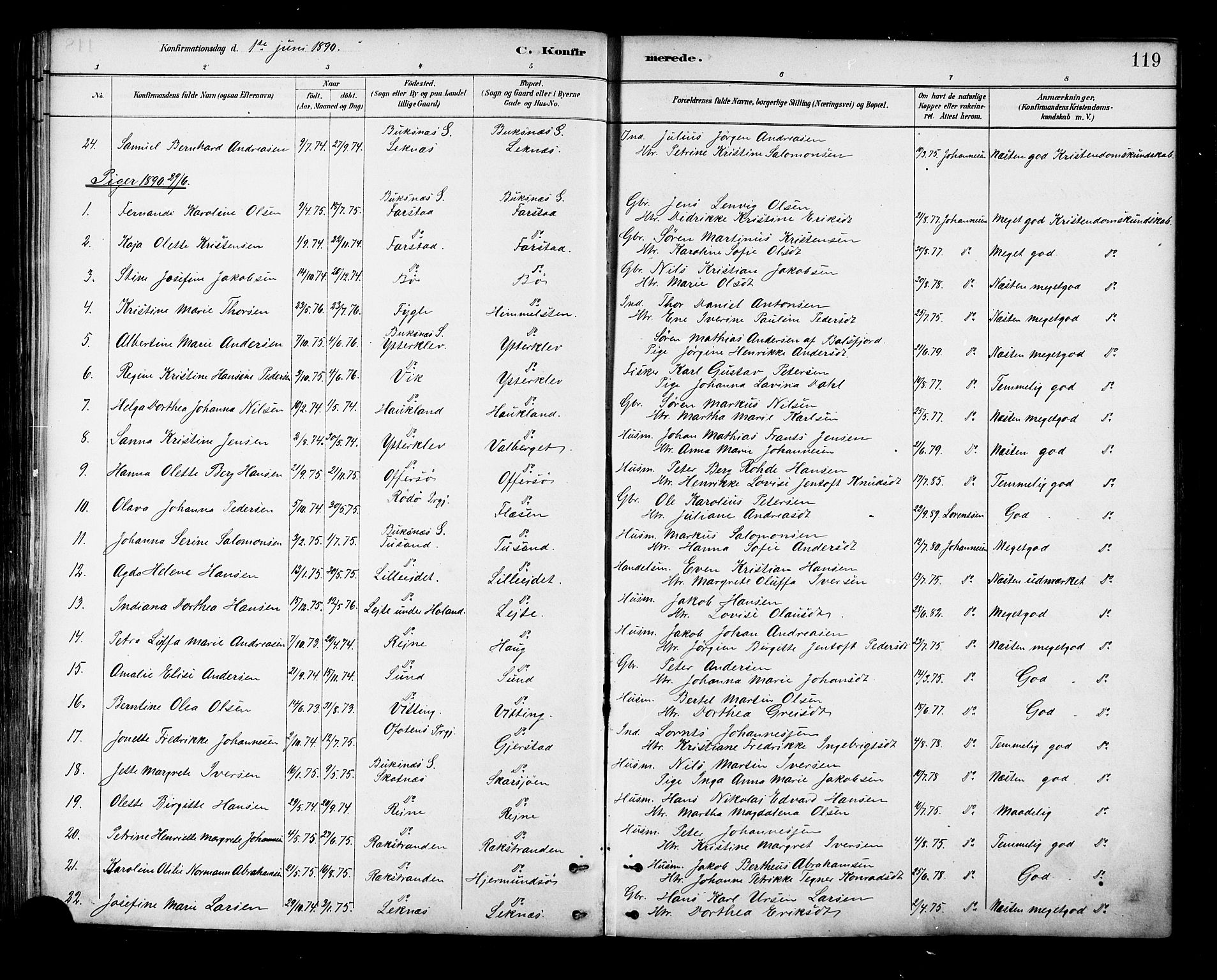 Ministerialprotokoller, klokkerbøker og fødselsregistre - Nordland, SAT/A-1459/881/L1167: Parish register (copy) no. 881C04, 1886-1899, p. 119