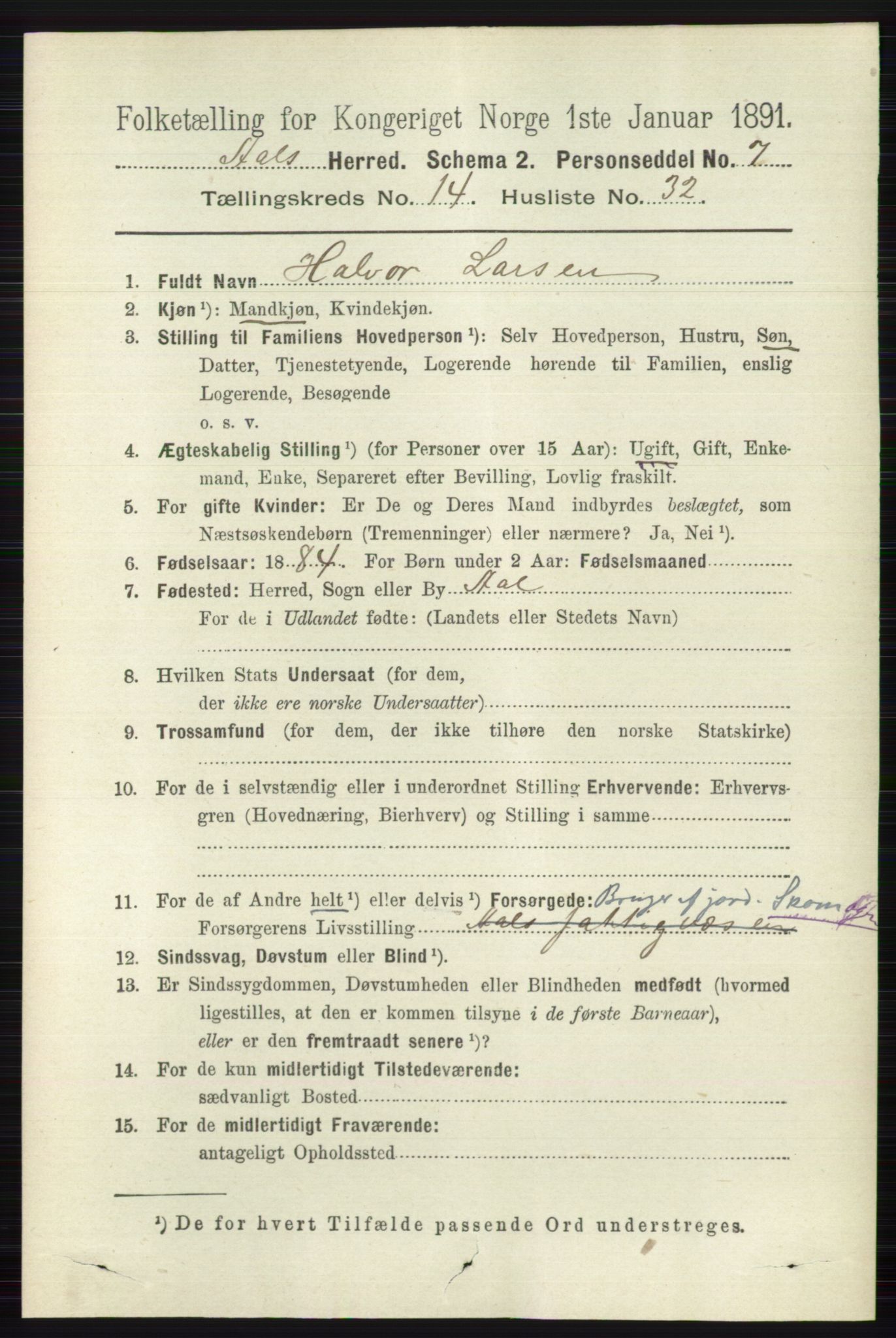 RA, 1891 census for 0619 Ål, 1891, p. 3702