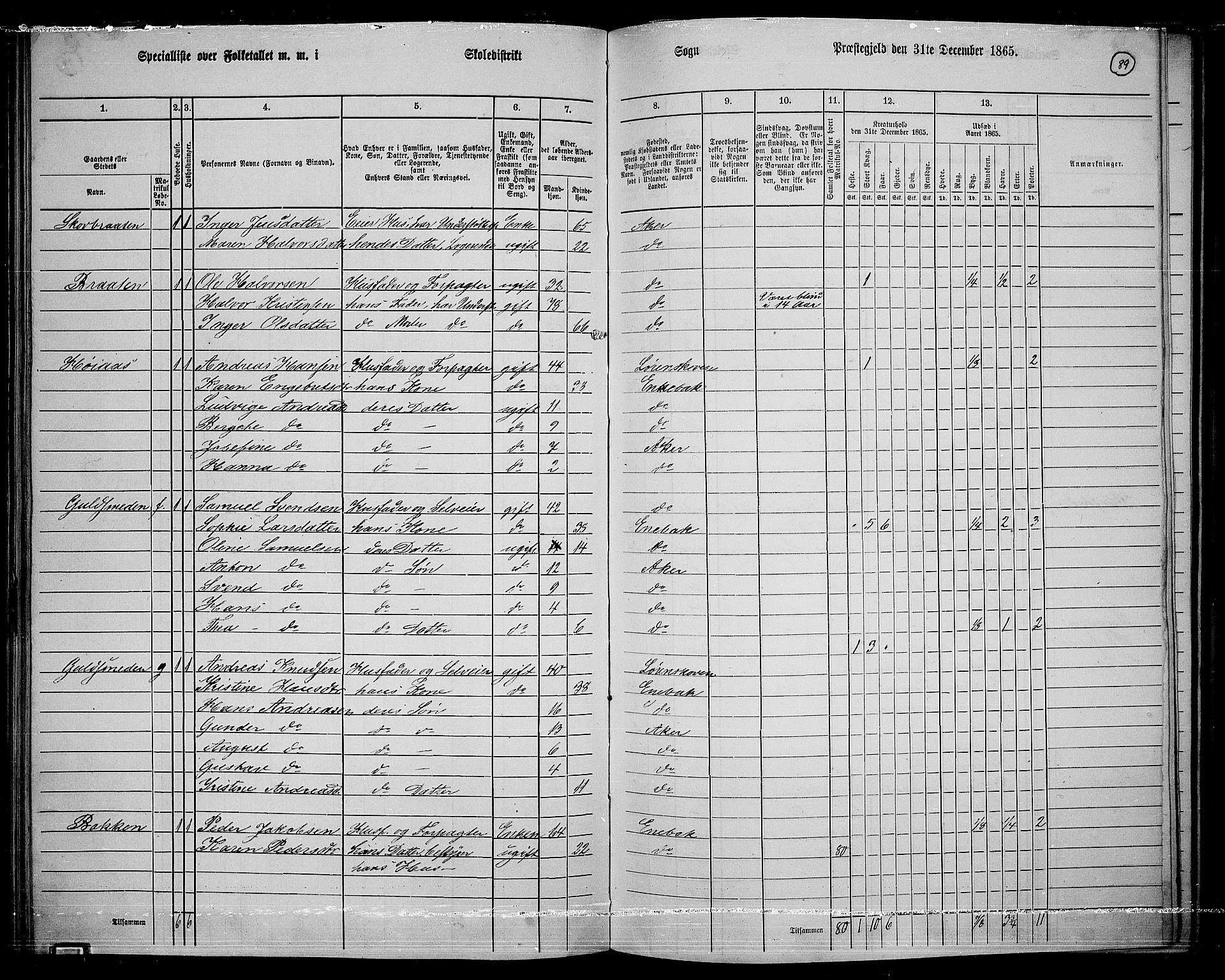 RA, 1865 census for Østre Aker, 1865, p. 313