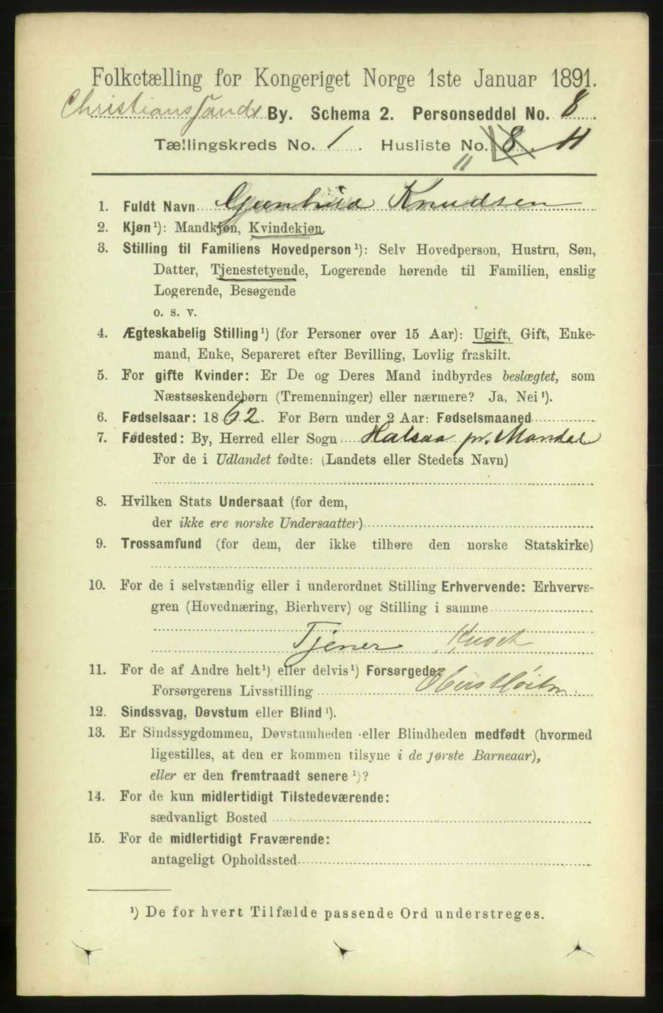 RA, 1891 census for 1001 Kristiansand, 1891, p. 2877