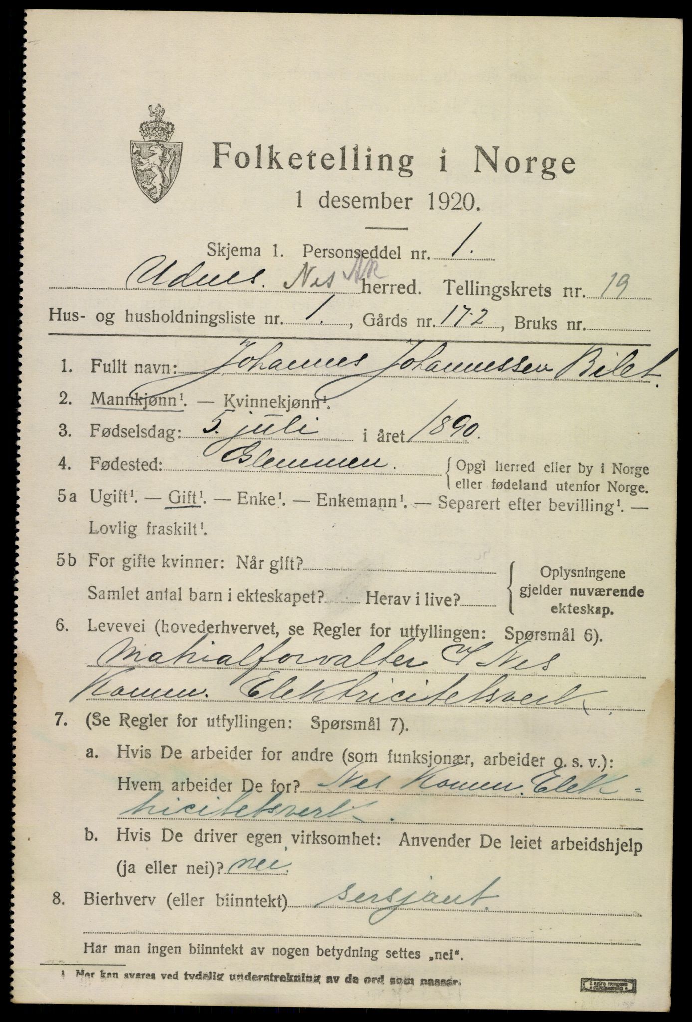 SAO, 1920 census for Nes, 1920, p. 19108