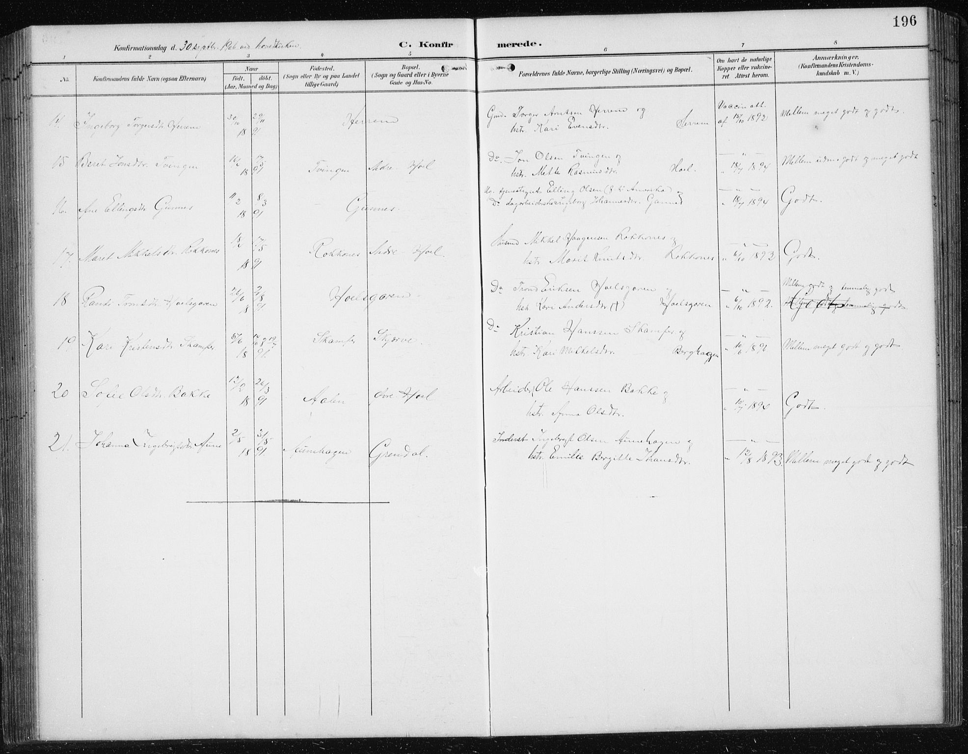 Ministerialprotokoller, klokkerbøker og fødselsregistre - Sør-Trøndelag, AV/SAT-A-1456/674/L0876: Parish register (copy) no. 674C03, 1892-1912, p. 196