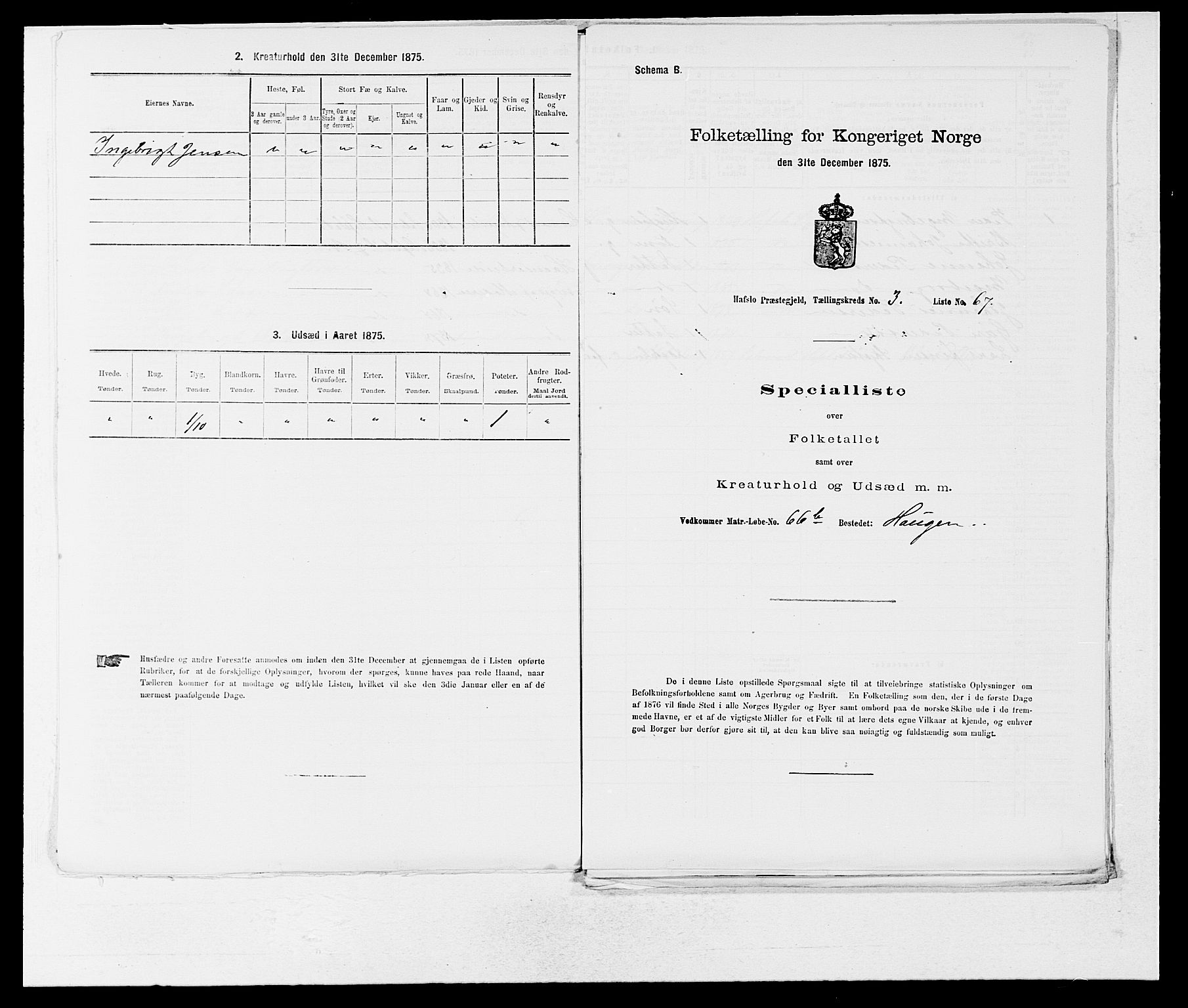 SAB, 1875 census for 1425P Hafslo, 1875, p. 406
