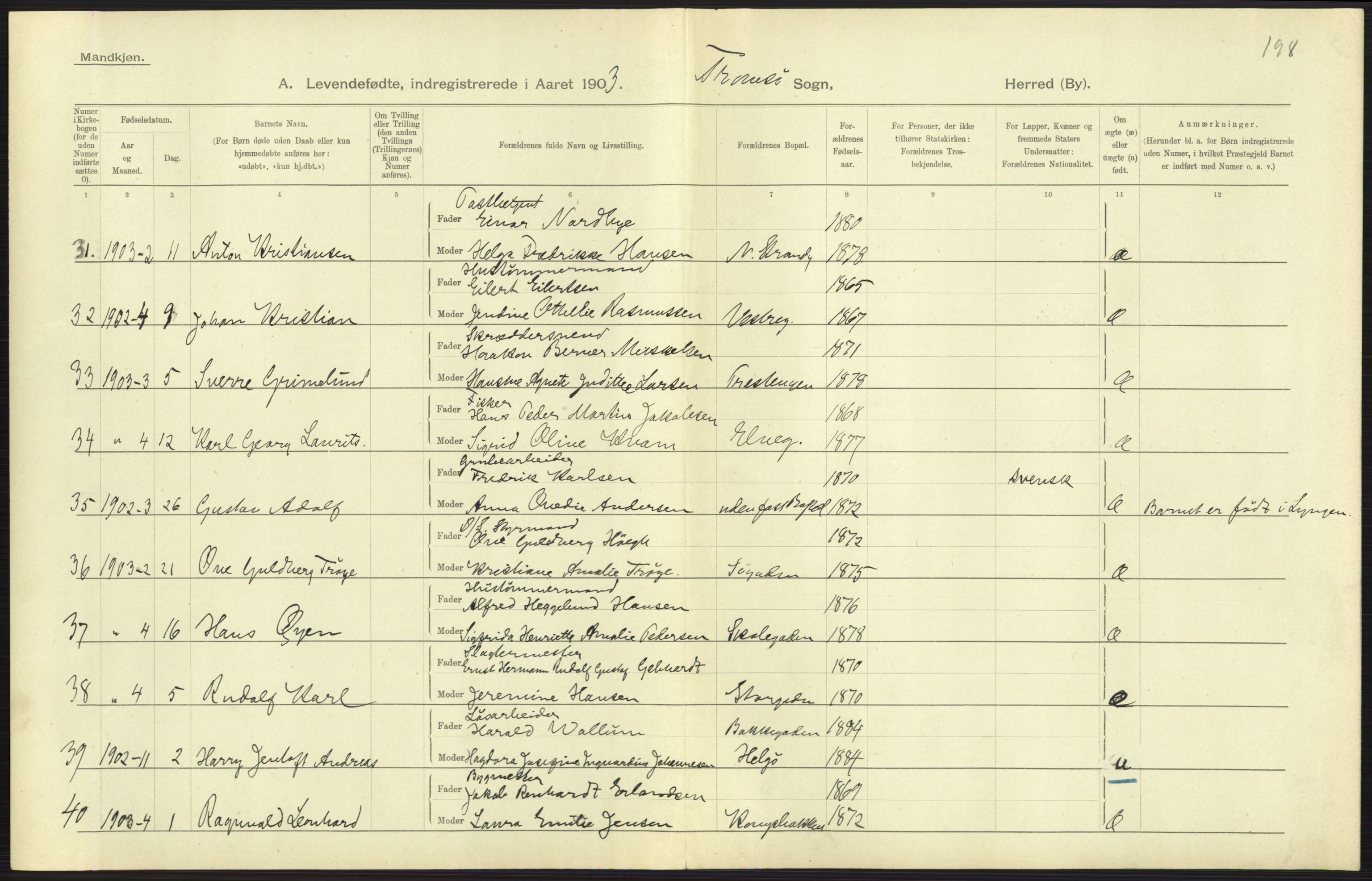 Statistisk sentralbyrå, Sosiodemografiske emner, Befolkning, AV/RA-S-2228/D/Df/Dfa/Dfaa/L0021: Tromsø amt: Fødte, gifte, døde., 1903, p. 291