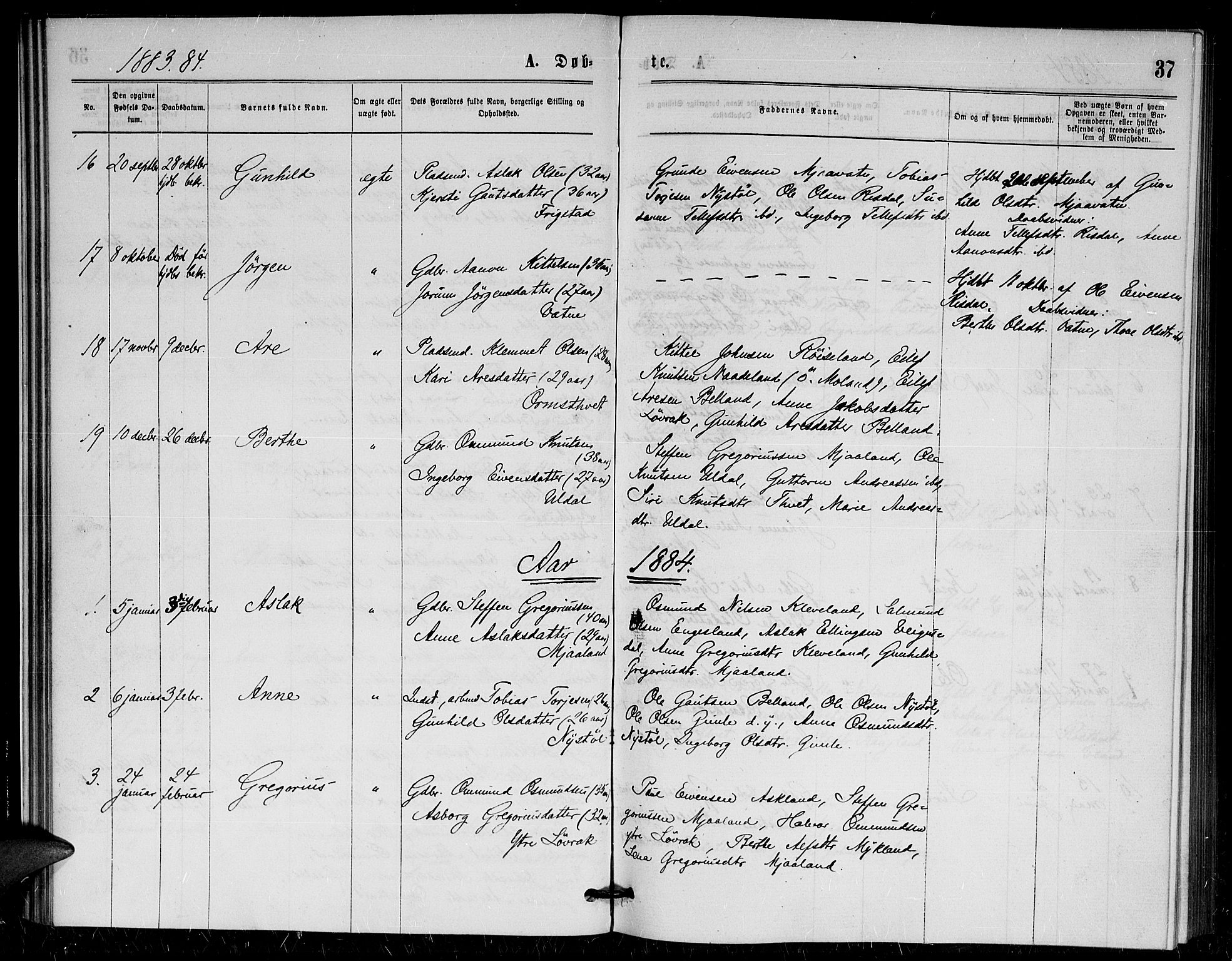 Herefoss sokneprestkontor, AV/SAK-1111-0019/F/Fa/Fac/L0001: Parish register (official) no. A 1, 1871-1886, p. 37