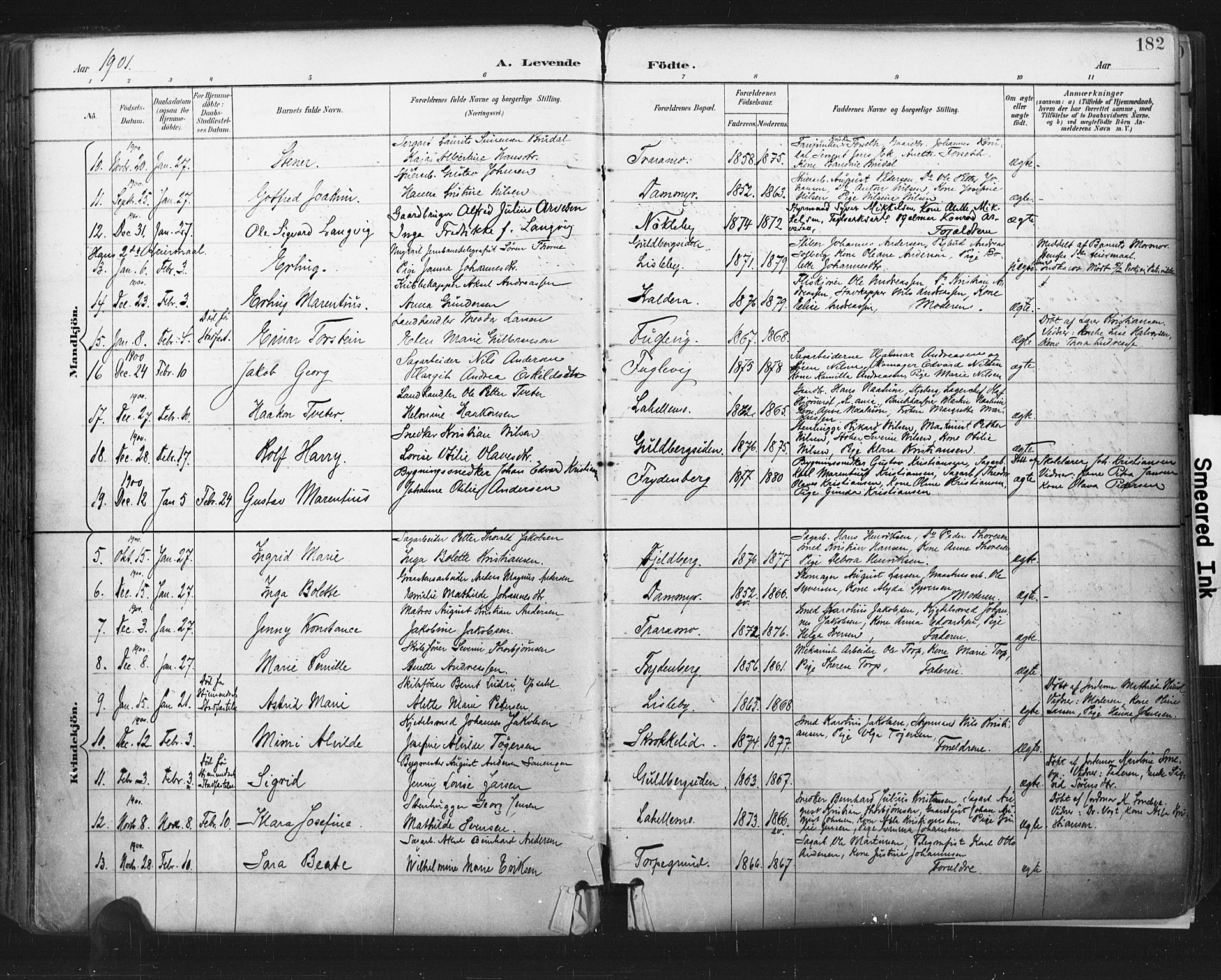 Glemmen prestekontor Kirkebøker, SAO/A-10908/F/Fa/L0013: Parish register (official) no. 13, 1892-1907, p. 182