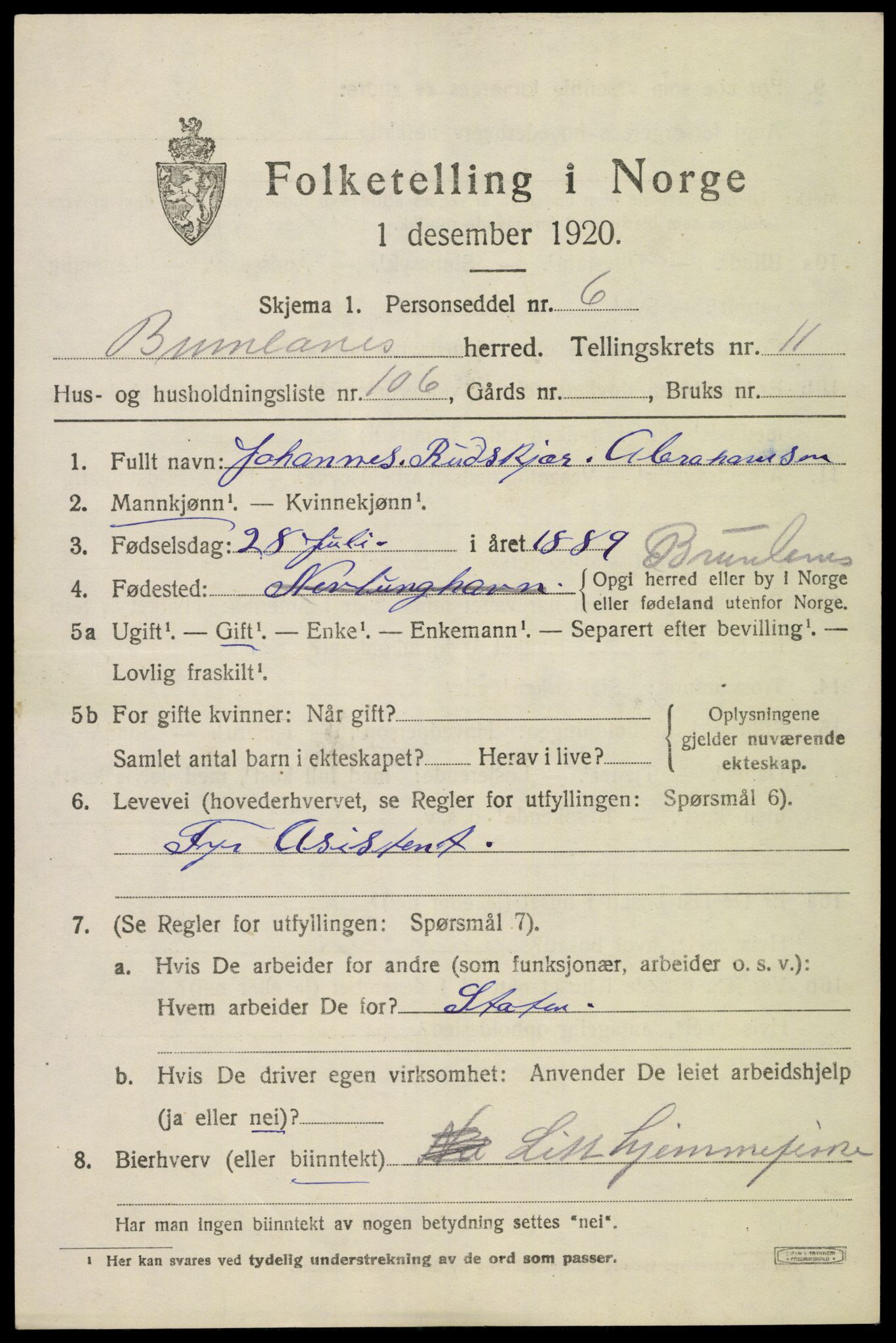SAKO, 1920 census for Brunlanes, 1920, p. 10495