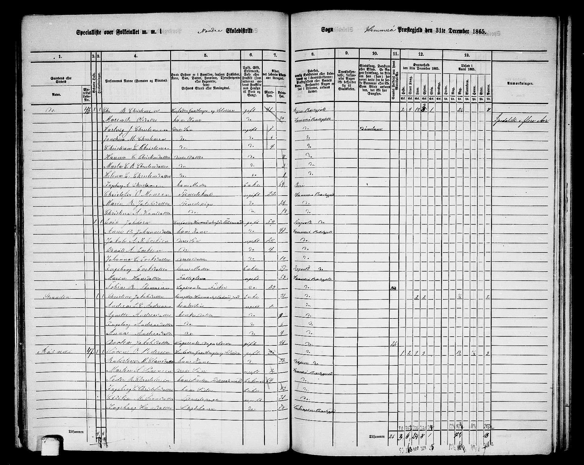 RA, 1865 census for Hamarøy, 1865, p. 24