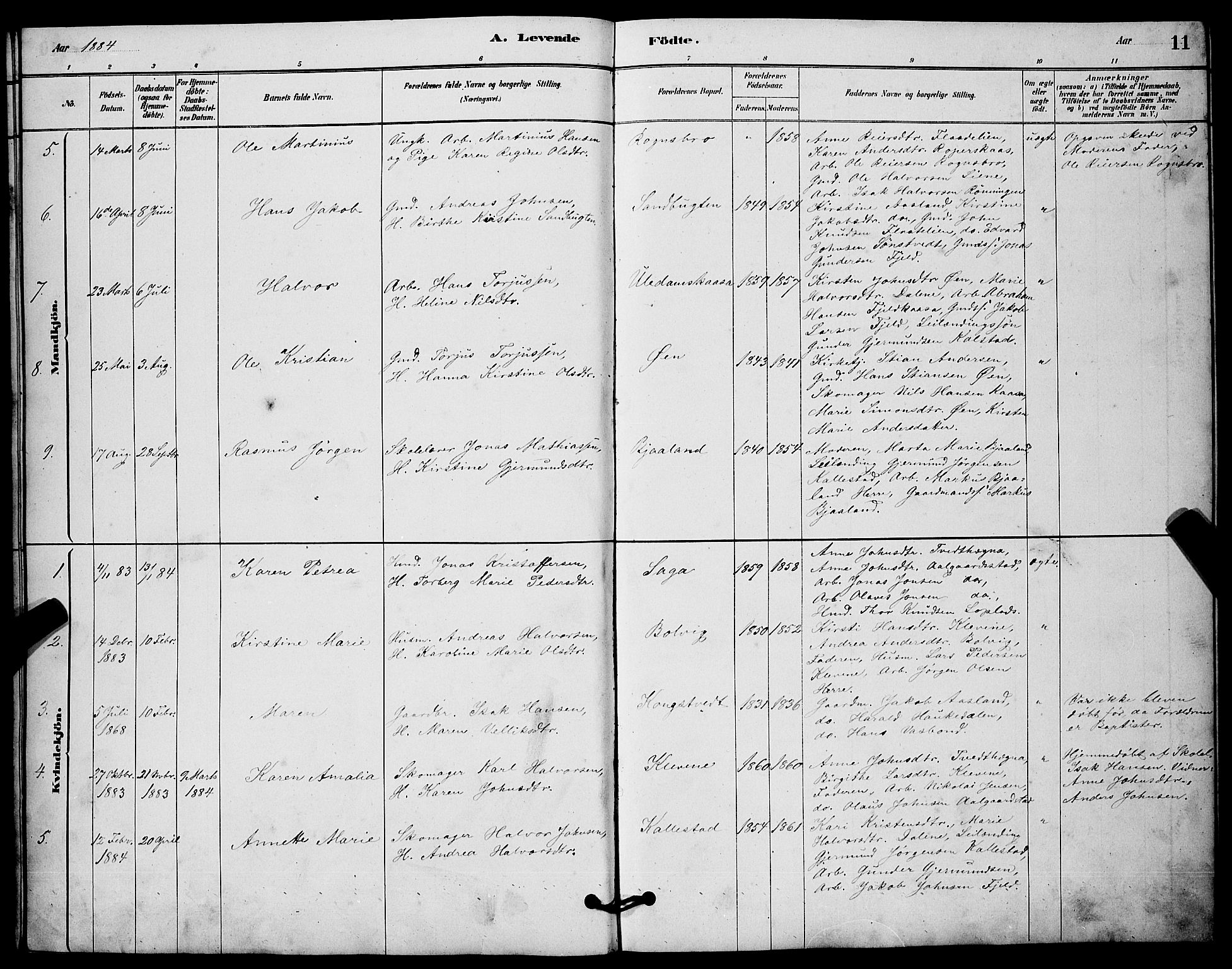 Solum kirkebøker, AV/SAKO-A-306/G/Gc/L0001: Parish register (copy) no. III 1, 1880-1902, p. 11