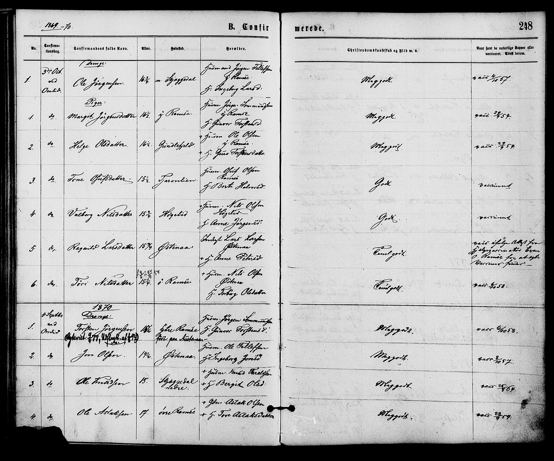 Åmli sokneprestkontor, SAK/1111-0050/F/Fa/Fac/L0009: Parish register (official) no. A 9 /3, 1869-1884, p. 248