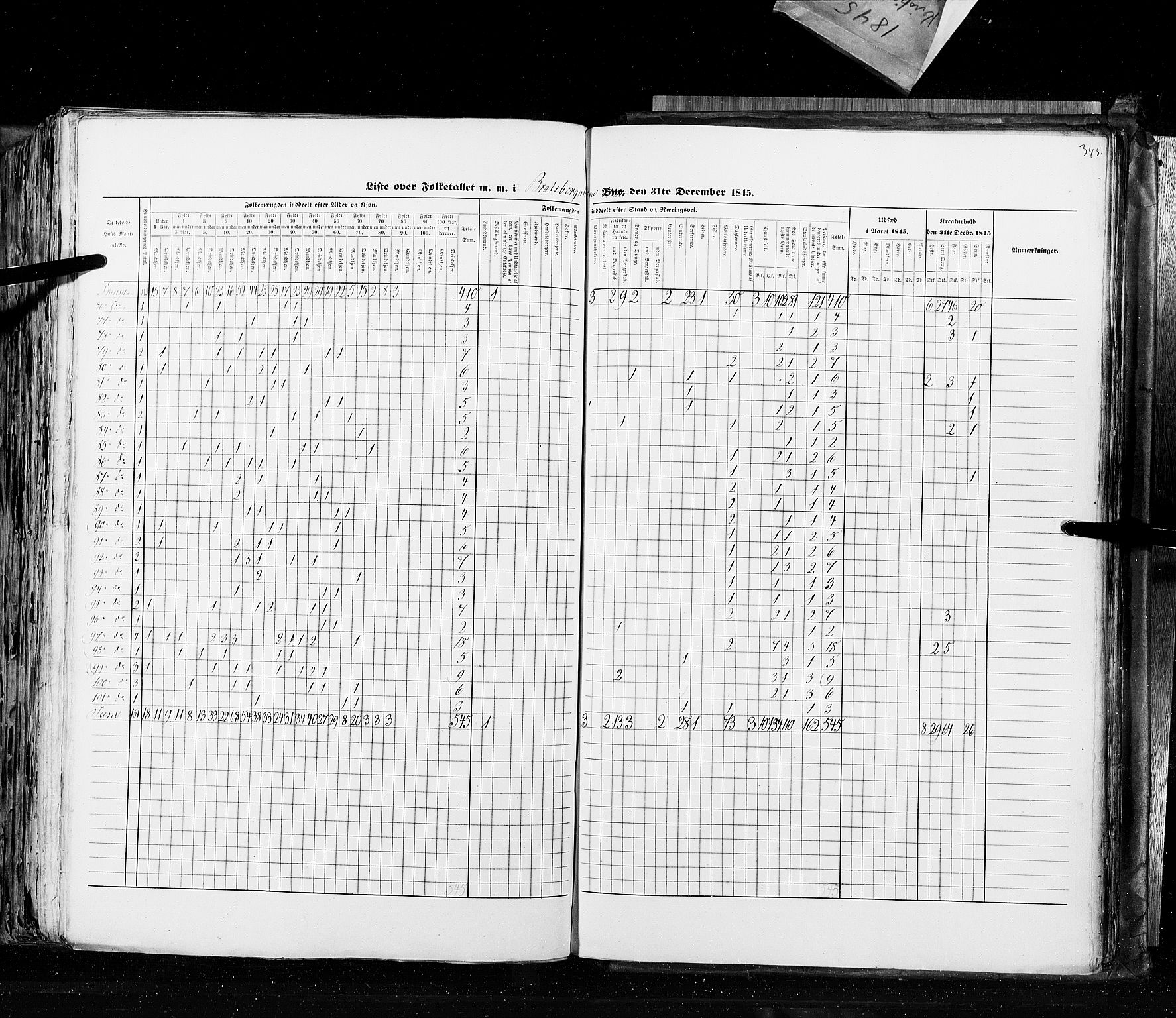 RA, Census 1845, vol. 10: Cities, 1845, p. 345