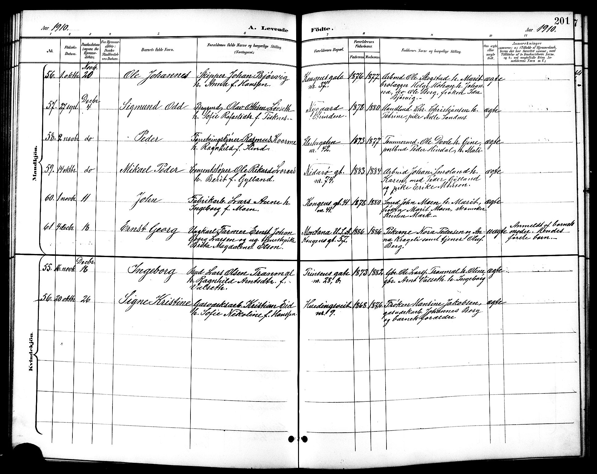 Ministerialprotokoller, klokkerbøker og fødselsregistre - Sør-Trøndelag, AV/SAT-A-1456/601/L0094: Parish register (copy) no. 601C12, 1898-1911, p. 201