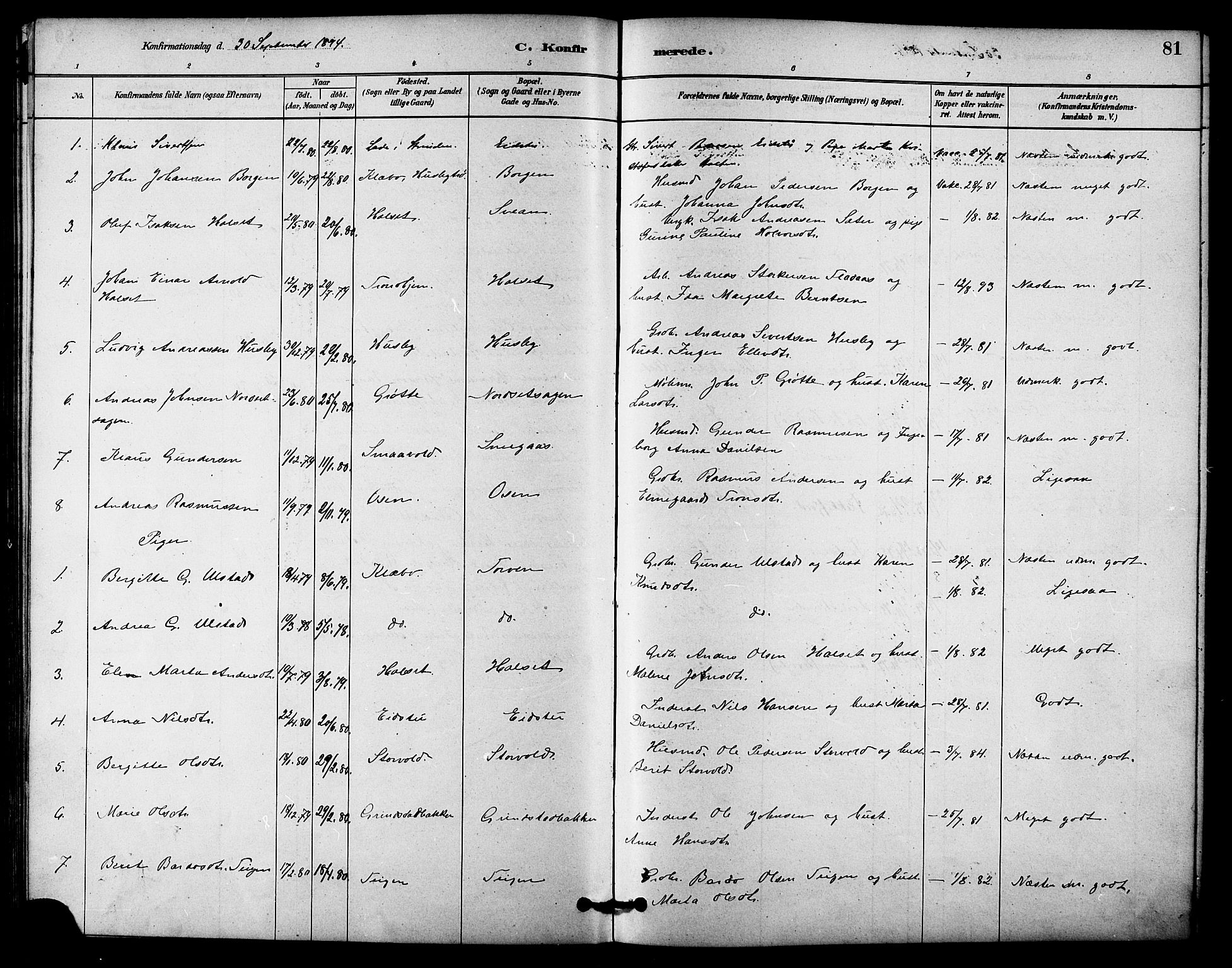 Ministerialprotokoller, klokkerbøker og fødselsregistre - Sør-Trøndelag, SAT/A-1456/618/L0444: Parish register (official) no. 618A07, 1880-1898, p. 81